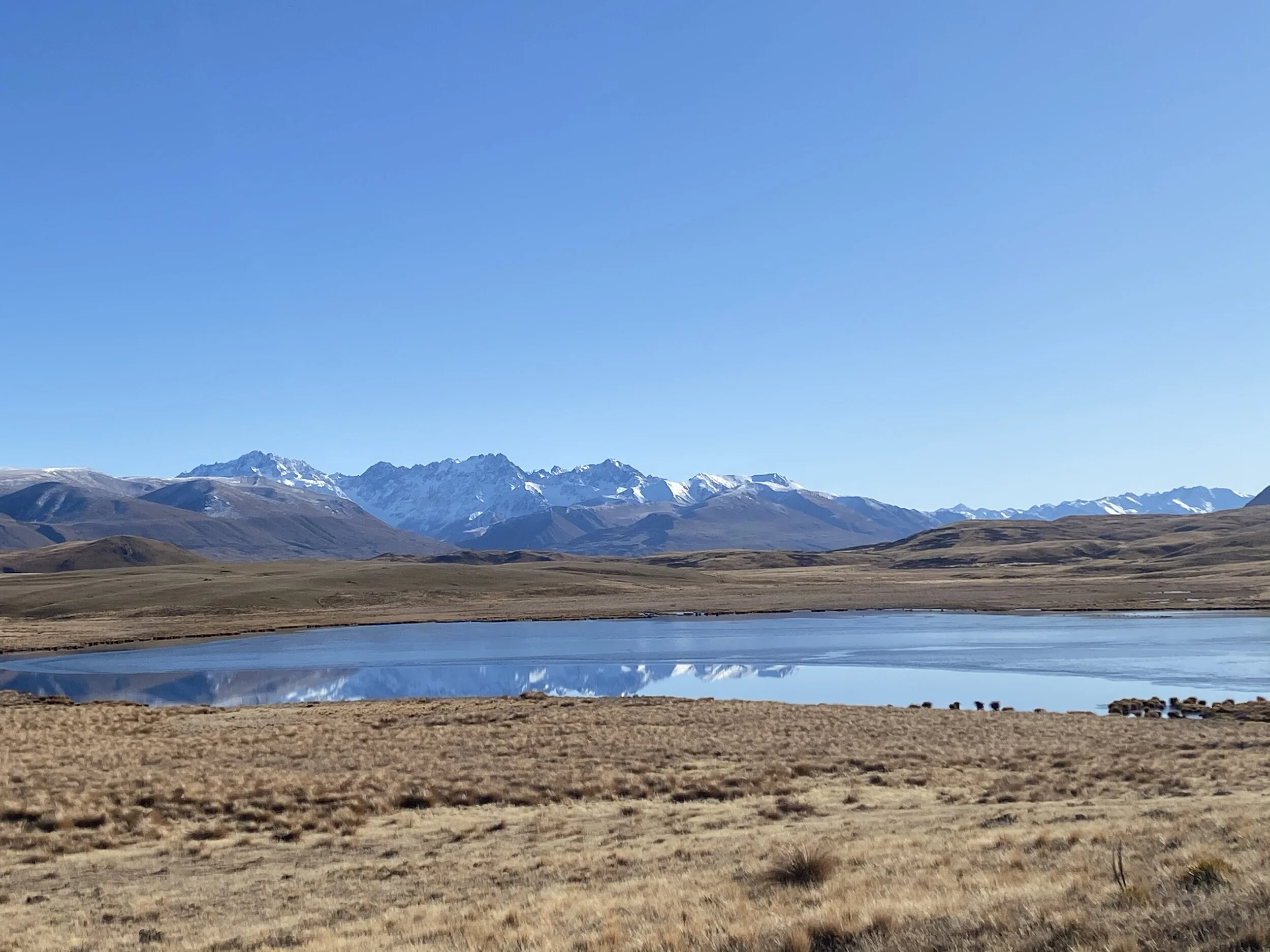 The far side of the lake was frozen as you can see by the change in reflection