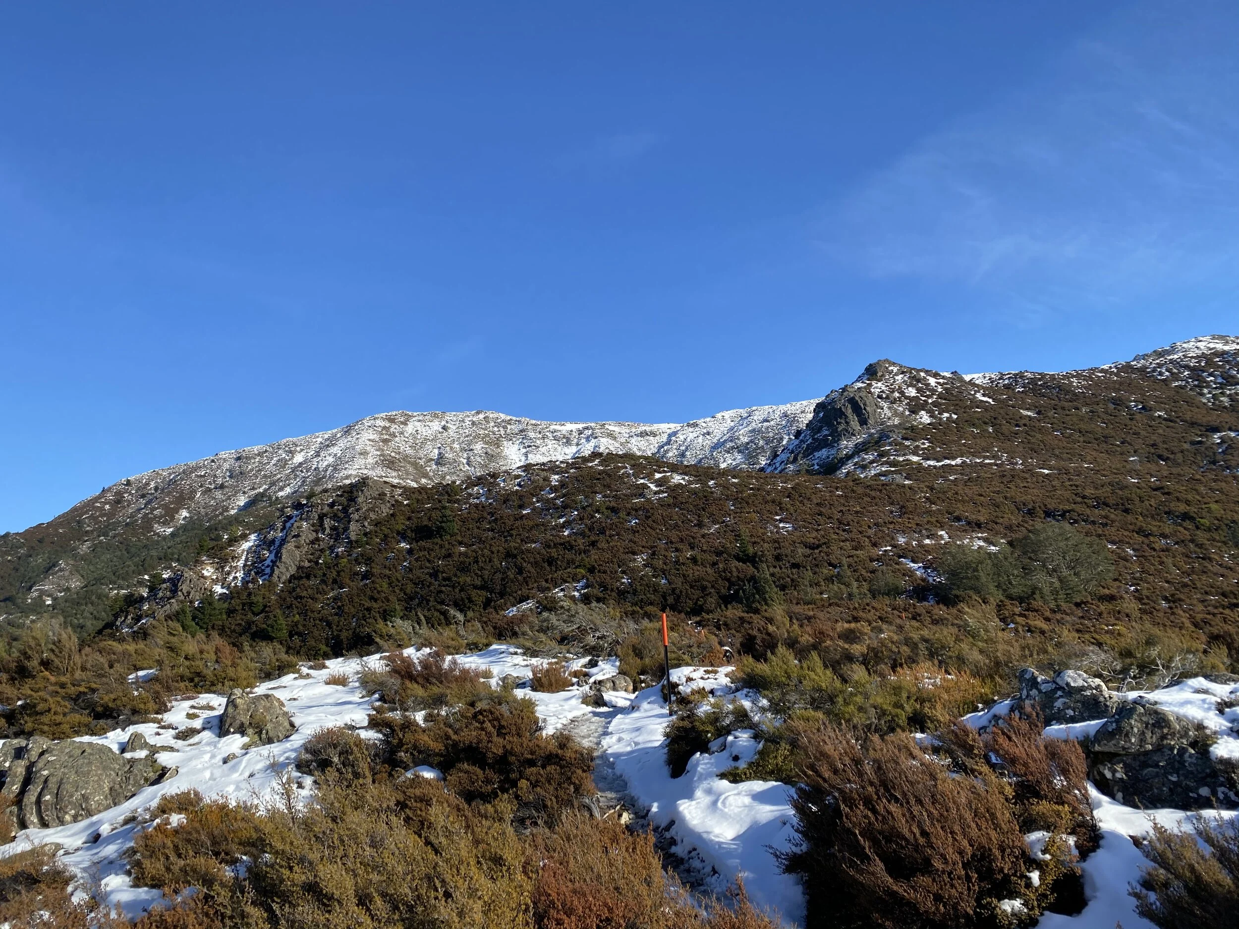 The goal is the snow-covered high point on the left, but the route skirts right, going up the ridge to a saddle, then up to the final ridge, with a walk along the tops to the actual summit.