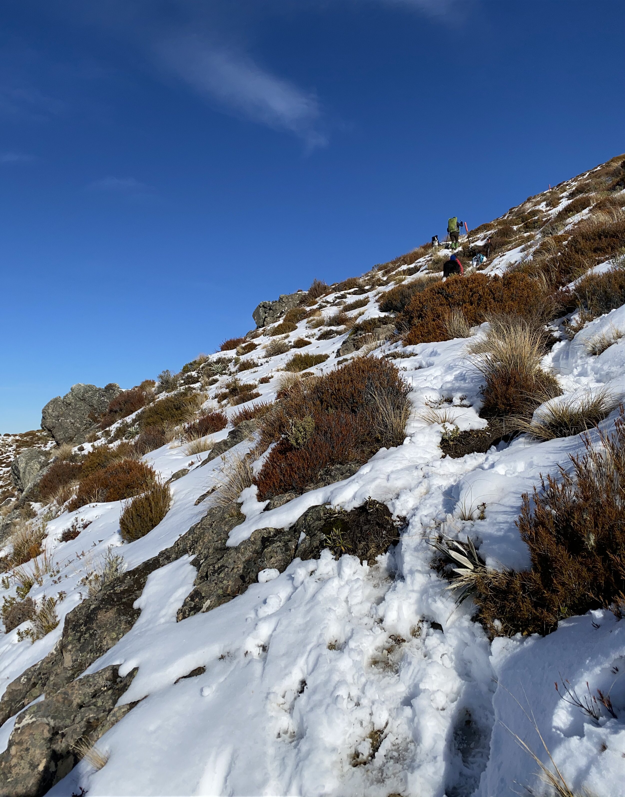 There were a few false summits on the way, which had our humans muttering. This is one of them.