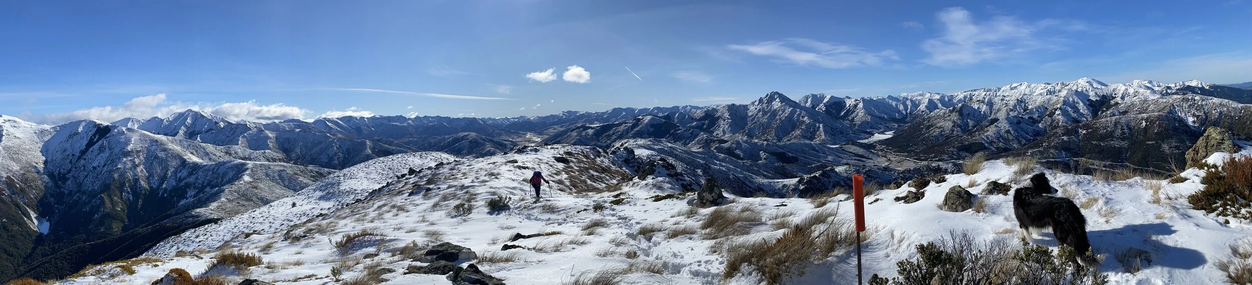 This is the view in the other direction.