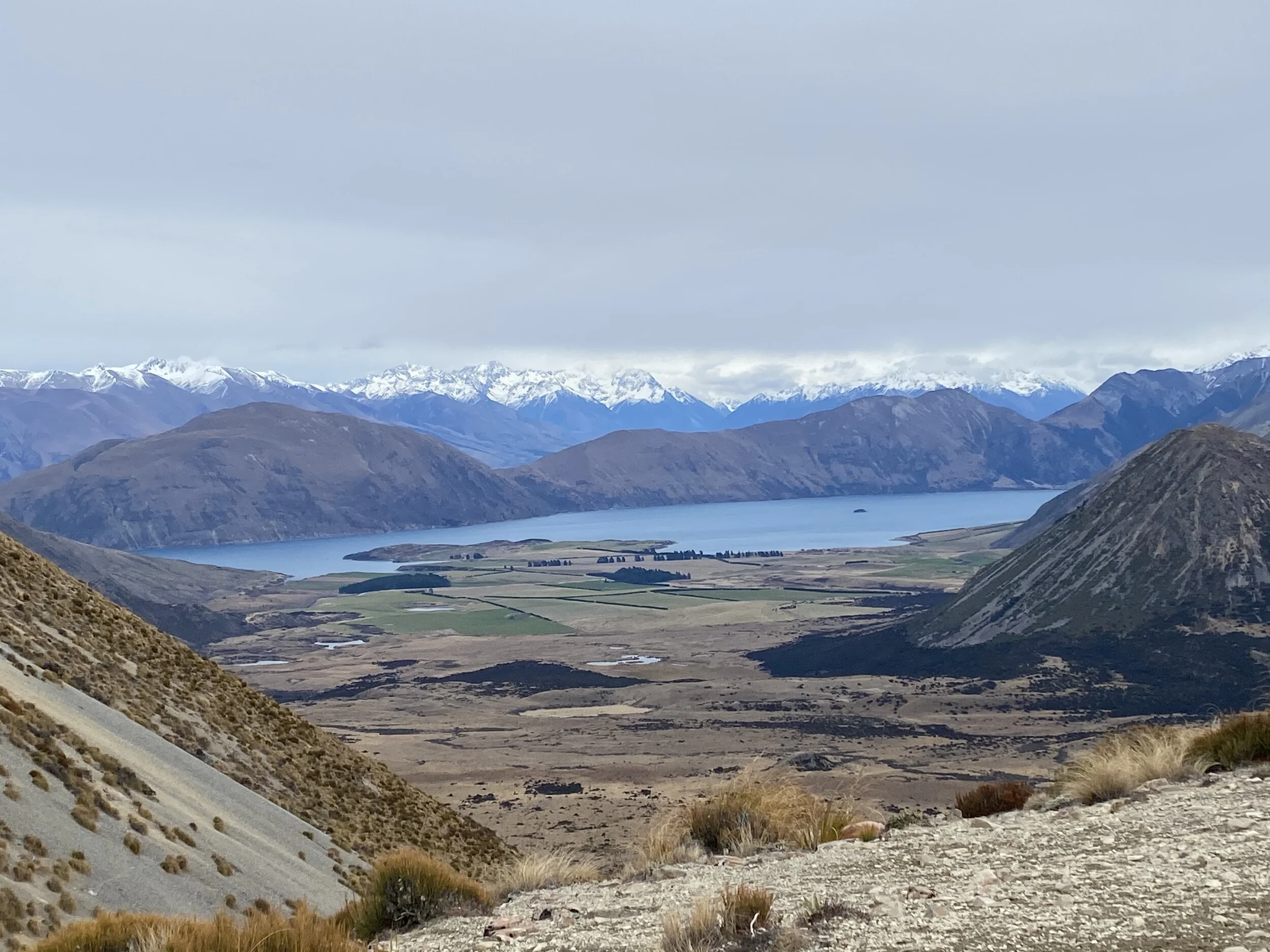 Here’s the view from Coleridge Pass. It was a tad more windy here than in the valley. We stopped for lunch. That’s when I had a bit of a mini-silk. Mum announced that she had left my treats in the car!  Yes, Liz did give me some of Maisy’s treats… But… REALLY!! Left my treats in the car???