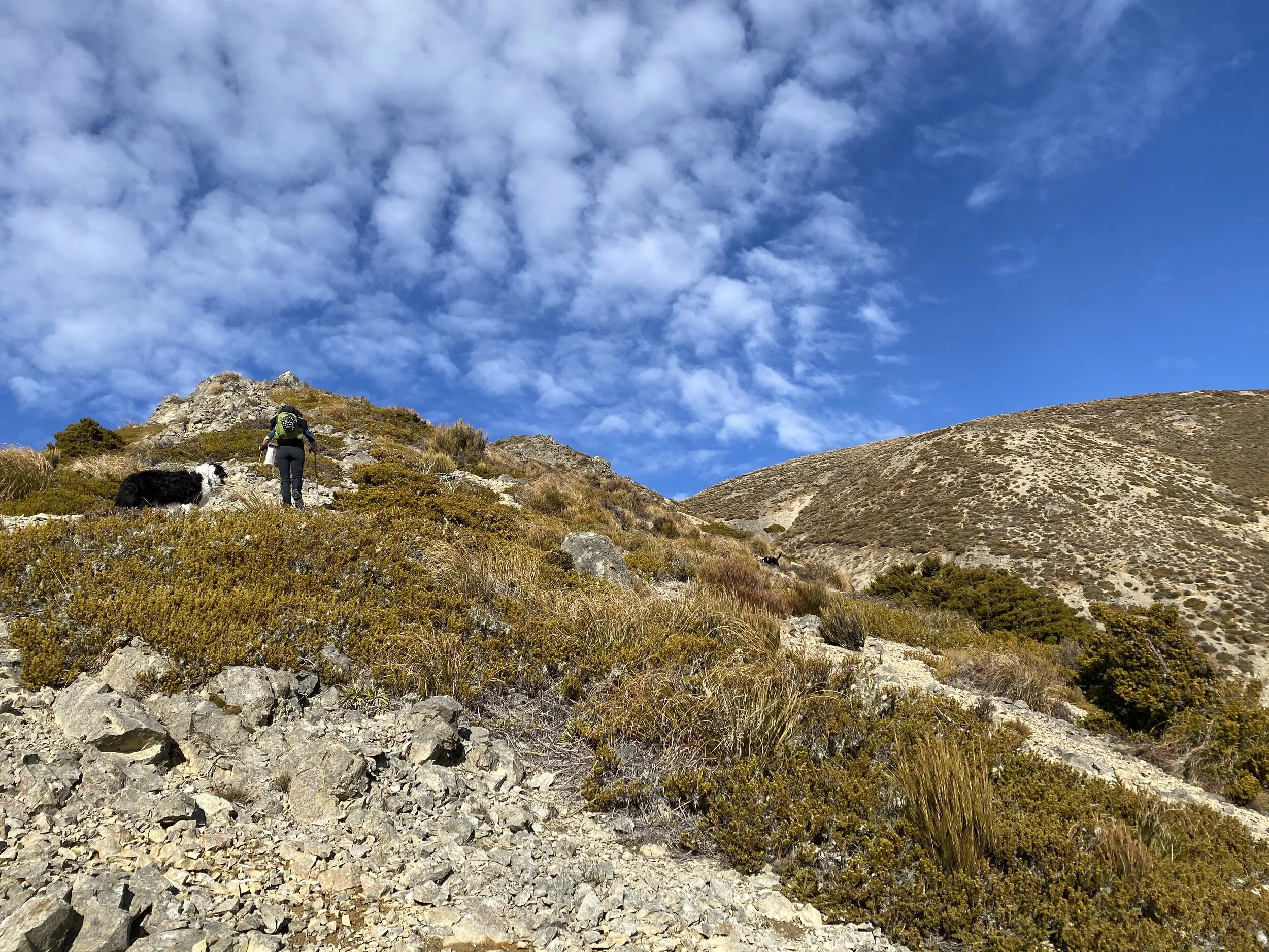 Continuing up from Pt 1014