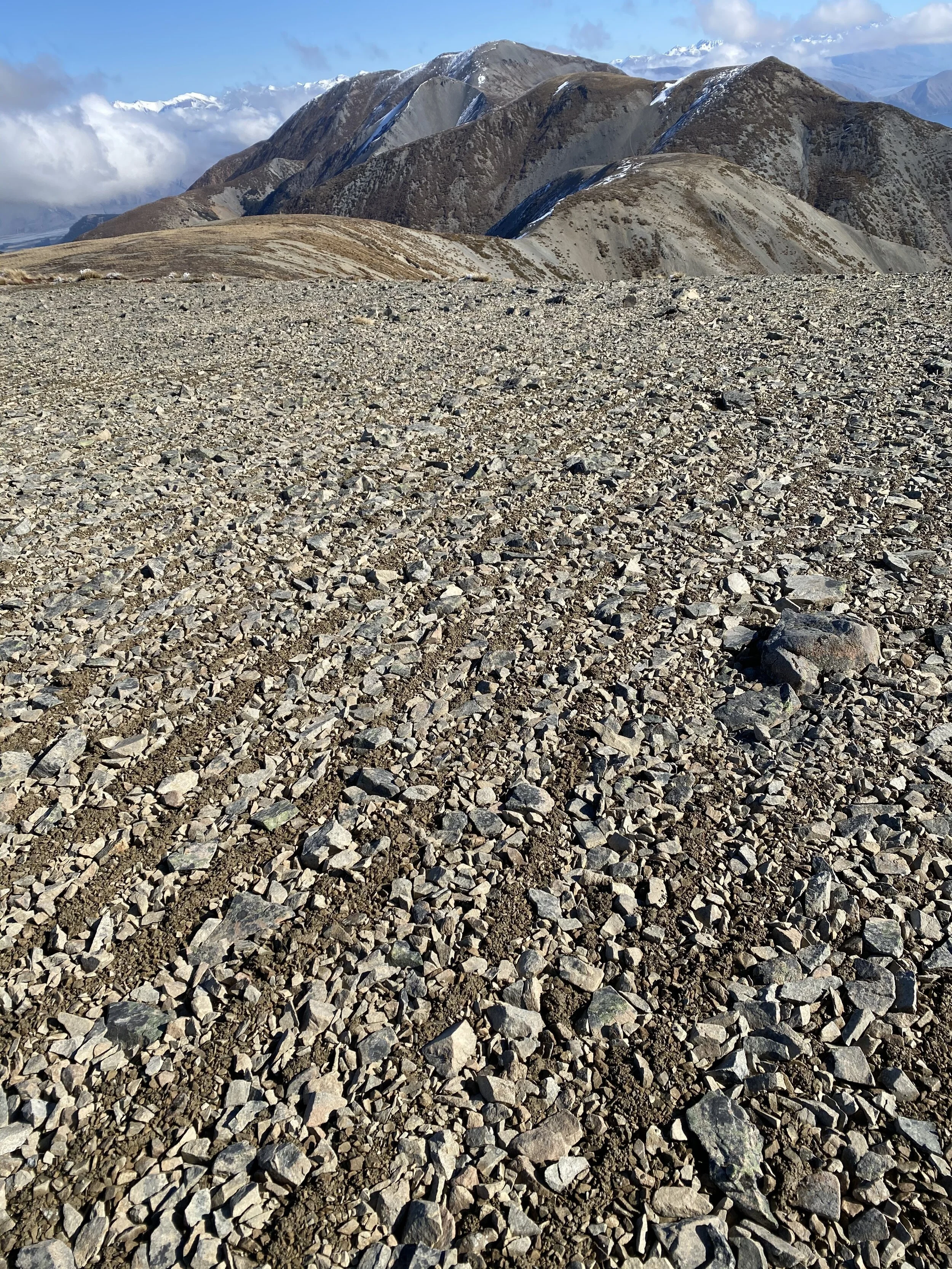 She’s also thinking of a walk along these ridges at some point too. Thats Red Hill - the tallest one in the distance. We’re going to do that soon, but not as a ridge walk - at least not the first time we do it…