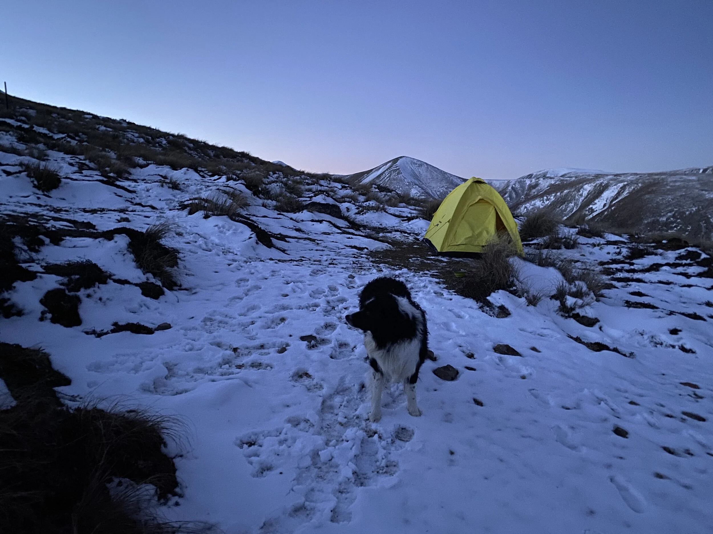 Camping on the Dogs Range