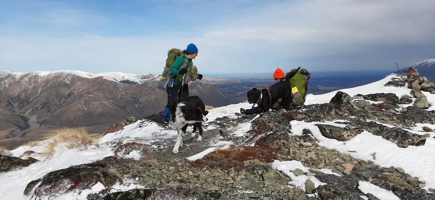 Mirjam gets the credit for this summit photo of Mum, Scruff, Miasy and Liz. It was sooo windy that the humans struggled to stand and walk. The humans also said it was ffrrrreeeezzzing - we didn’t mind so much. Mum only has a shaky (because of the wind buffets) video from the top.