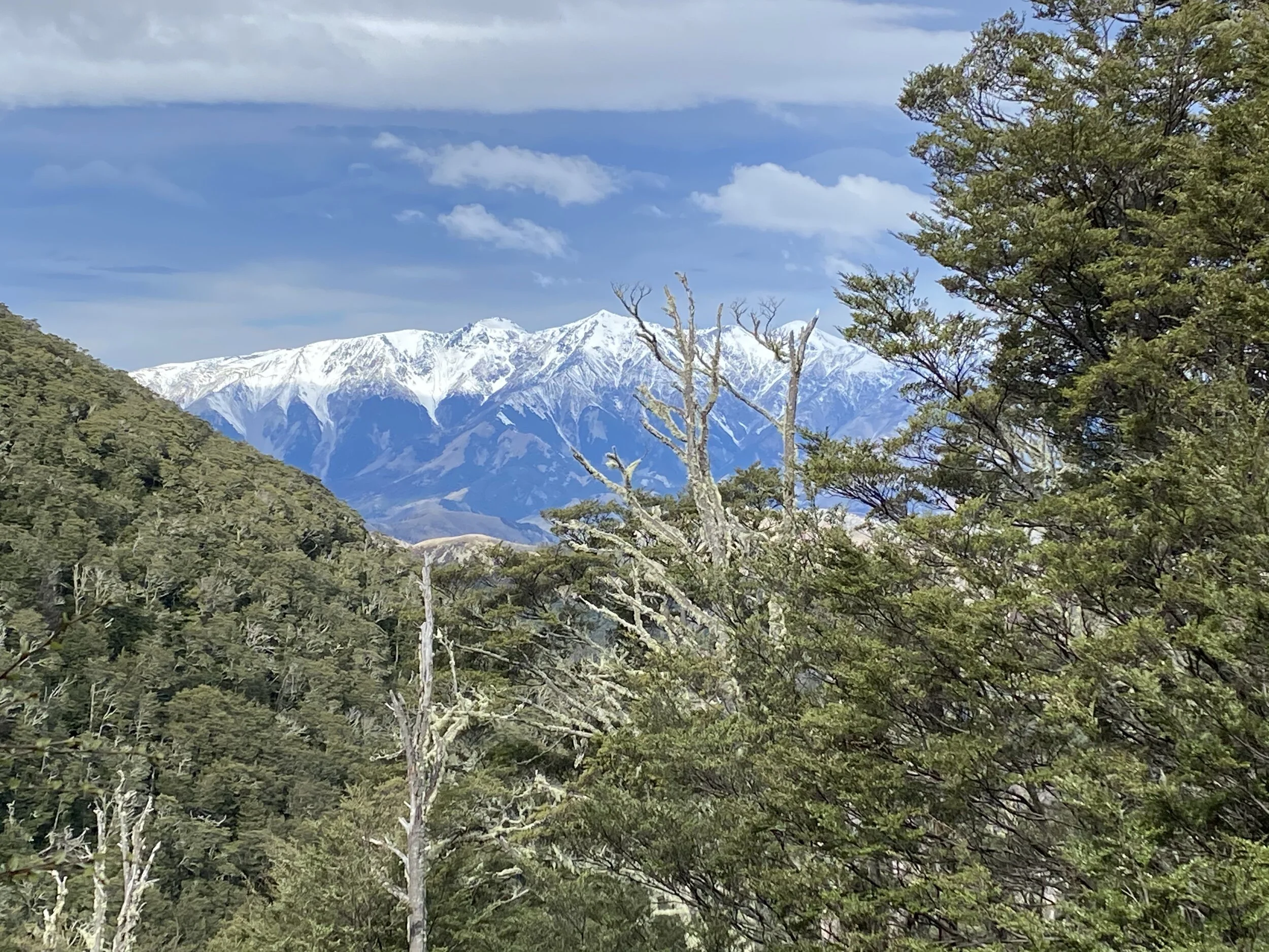 View through the trees on the way down