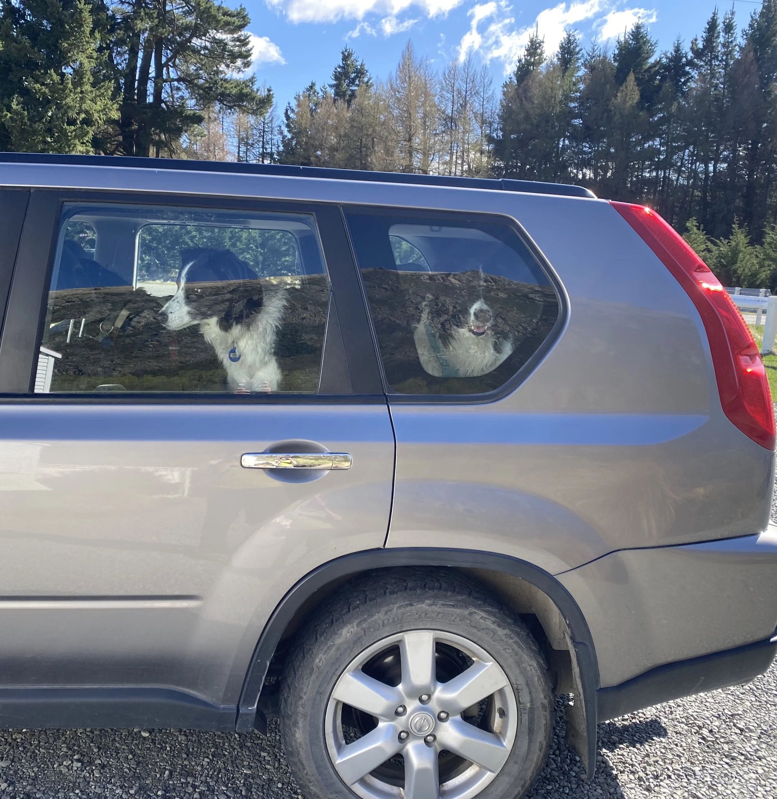 What is this toilet stop business? Can we get to the start of our walk, please.