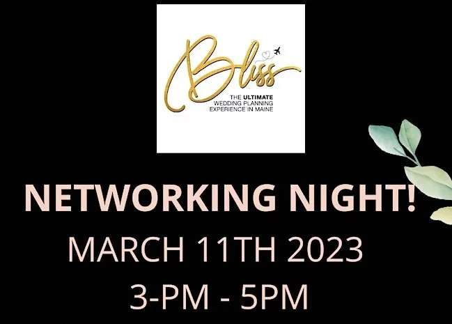 Bliss Wedding Show Professional Networking