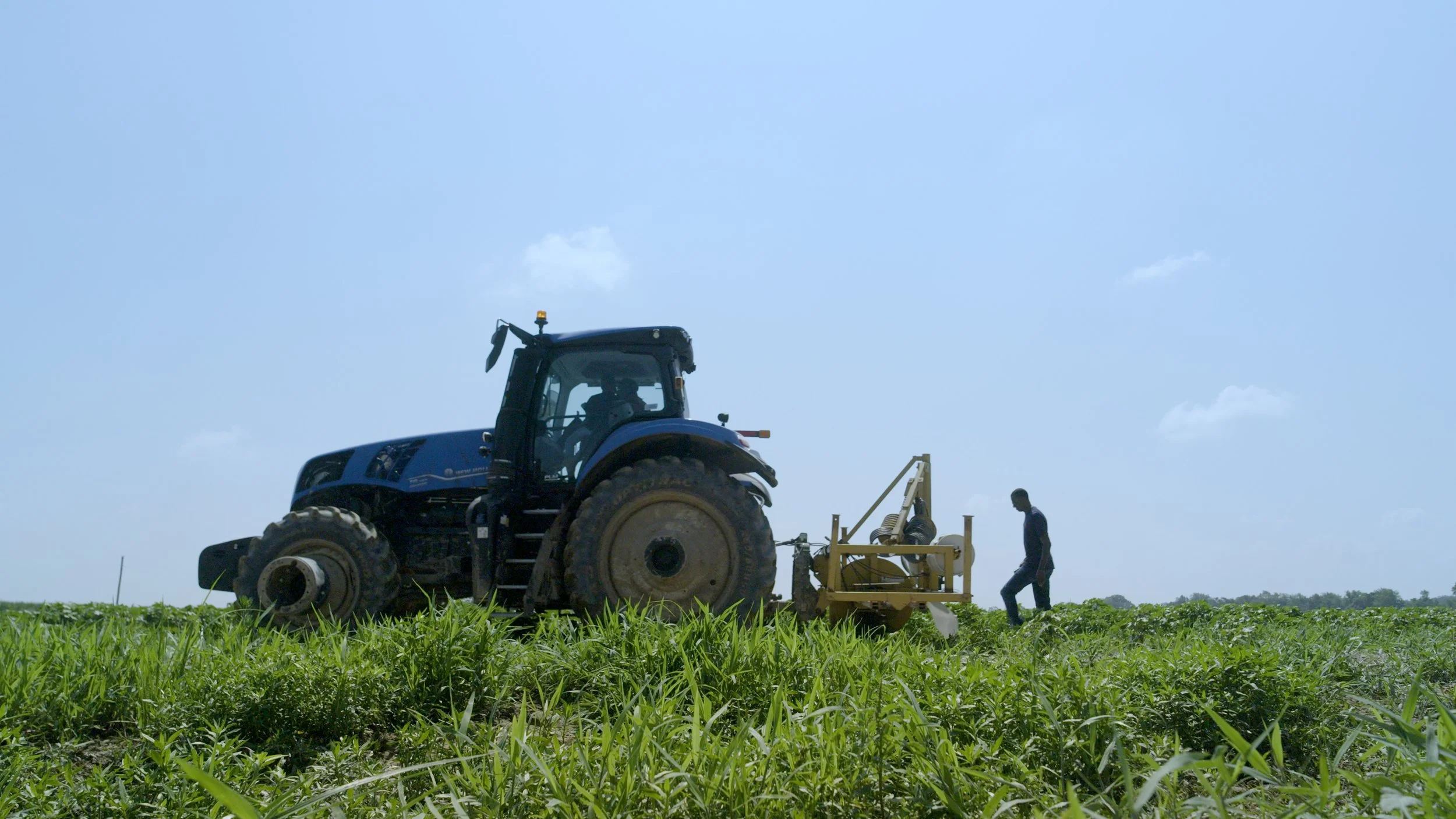 HARVEST-2.jpg