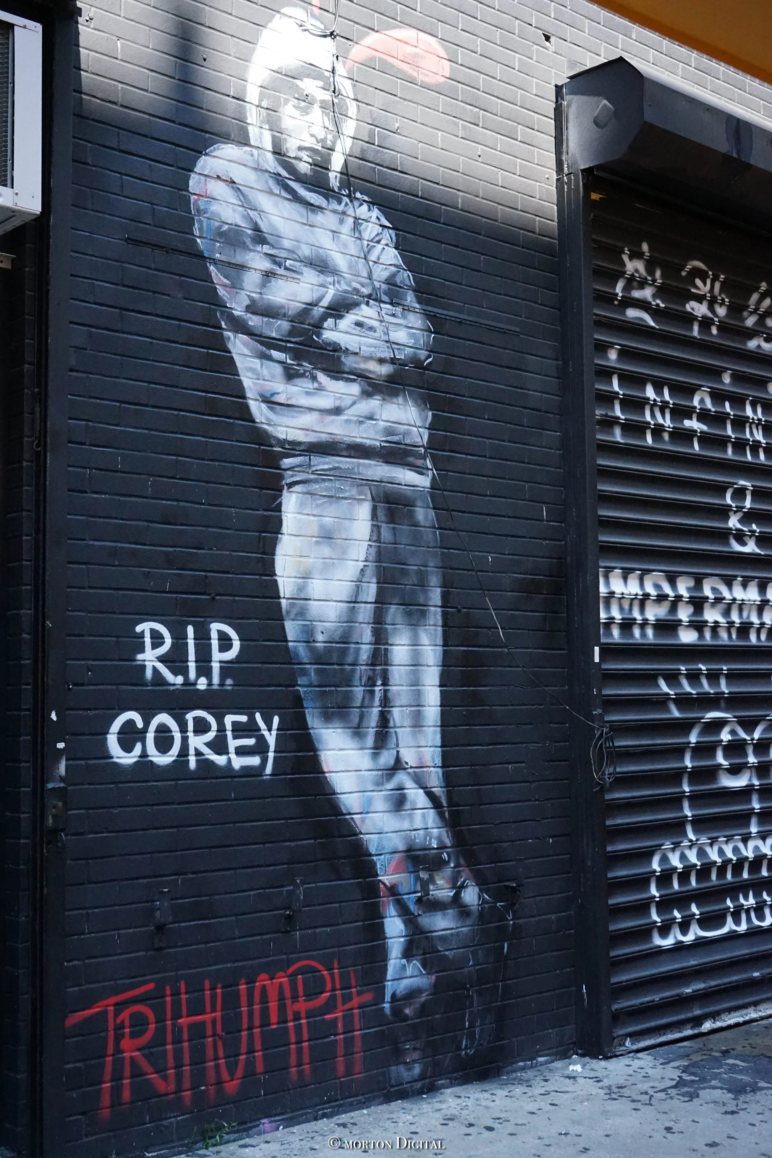 Graffiti AND ART