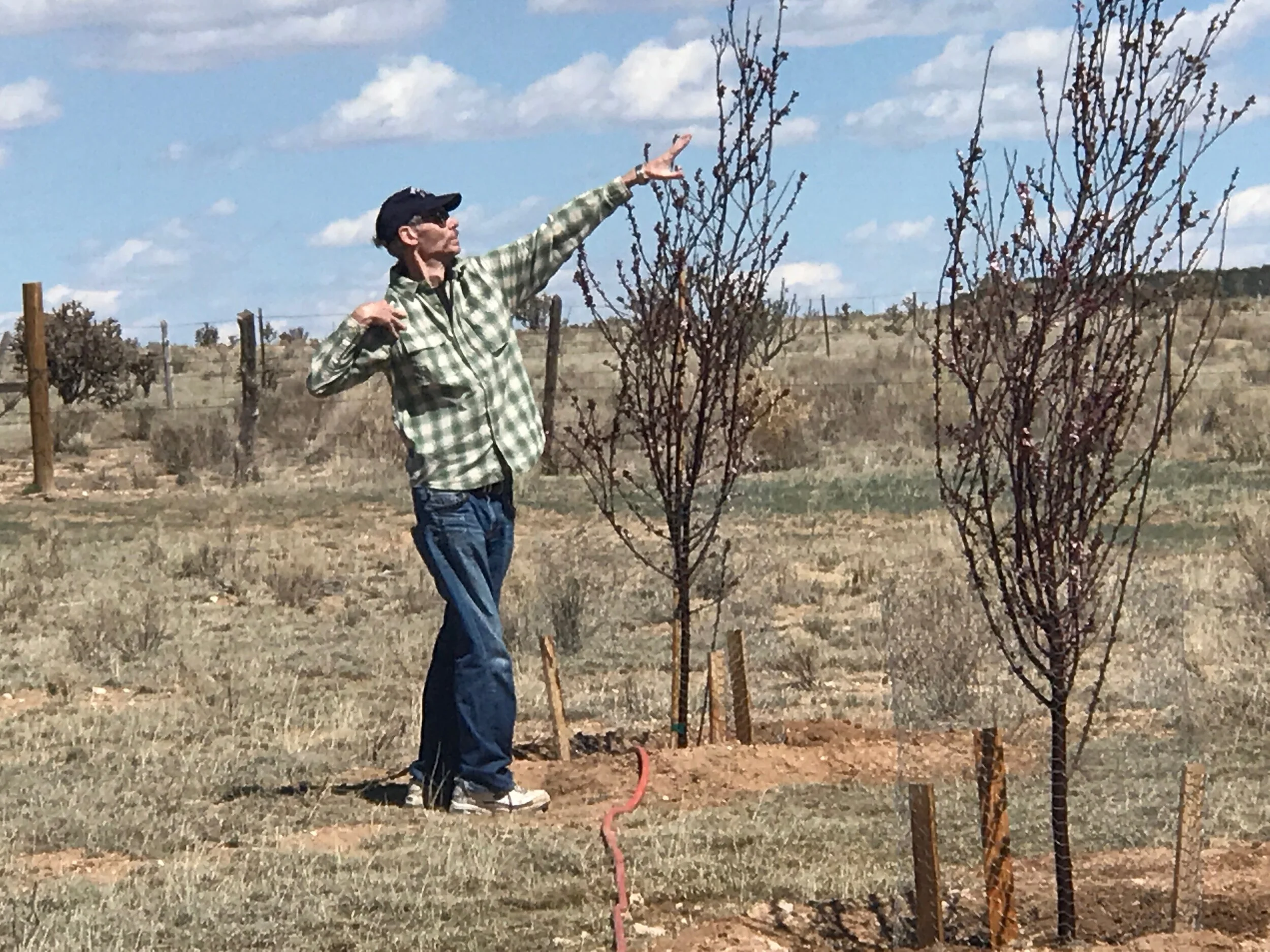 jefferson website.jpeg