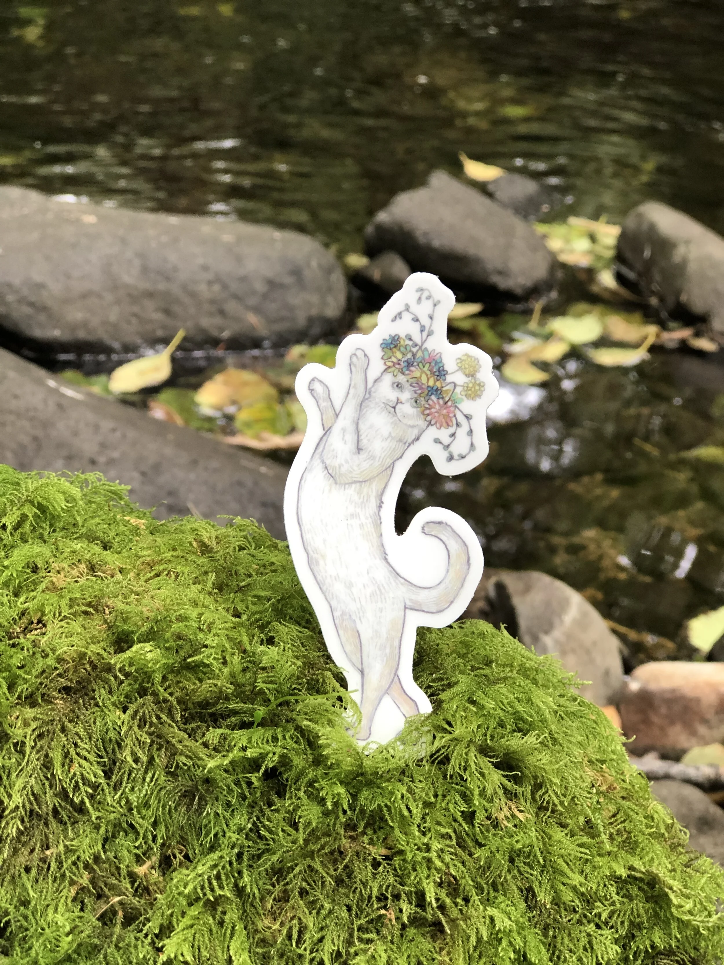 CC5DACCF-7708-4A35-911C-915E93B5A592