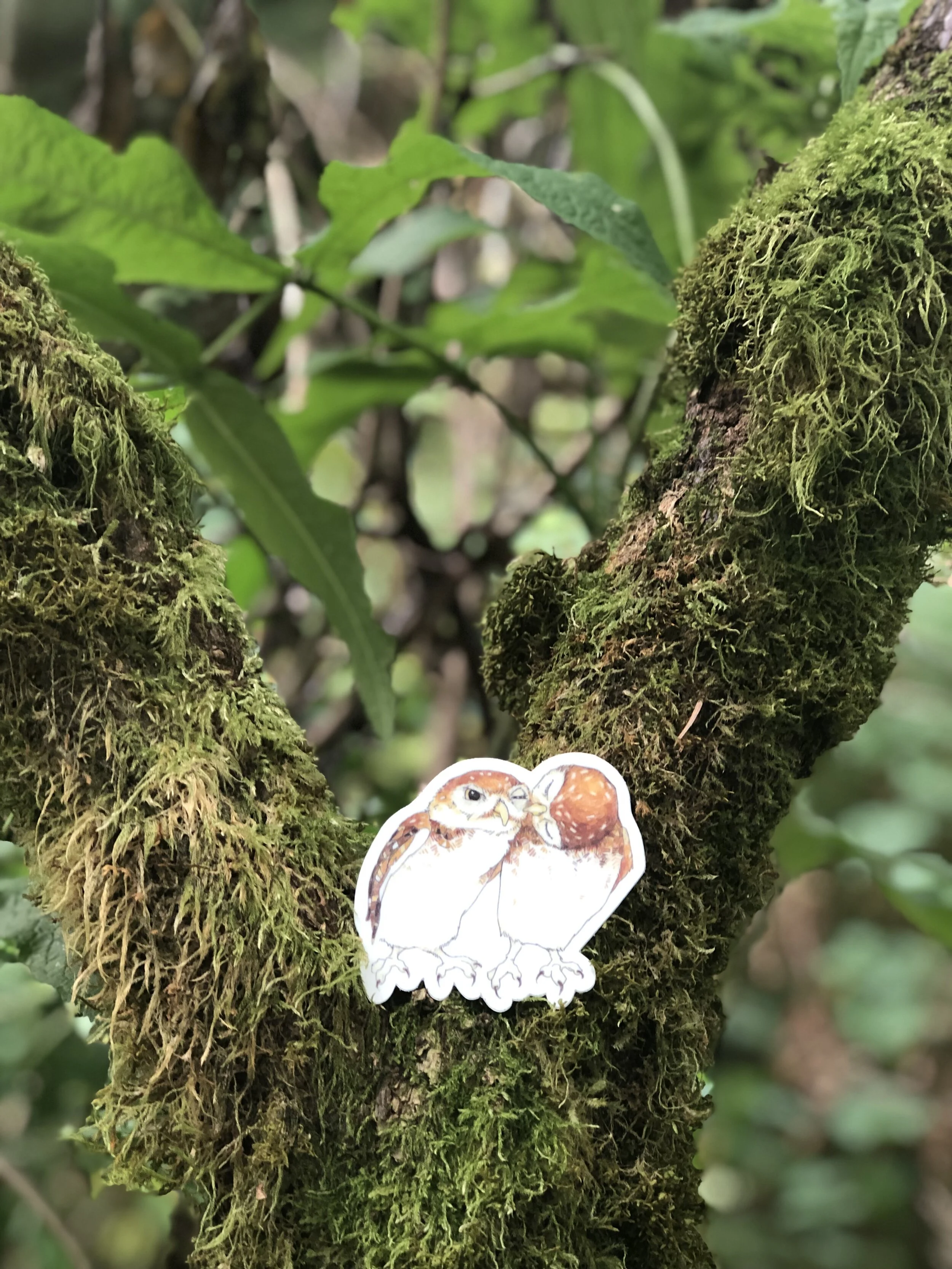 B86FB86C-7A88-4ABD-80D2-0A253173D2F4