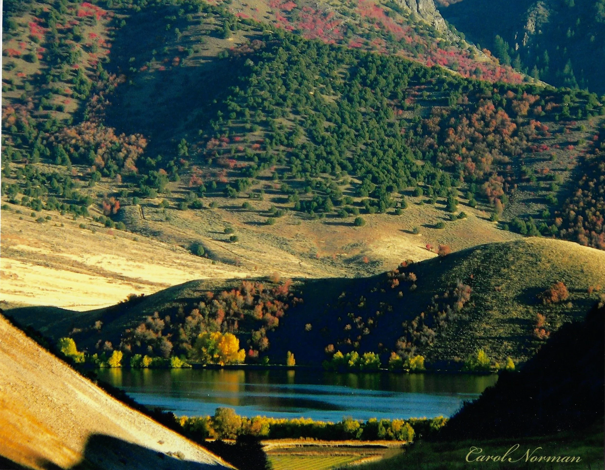 Landscape with hills, trees, and a lake under sunlight.