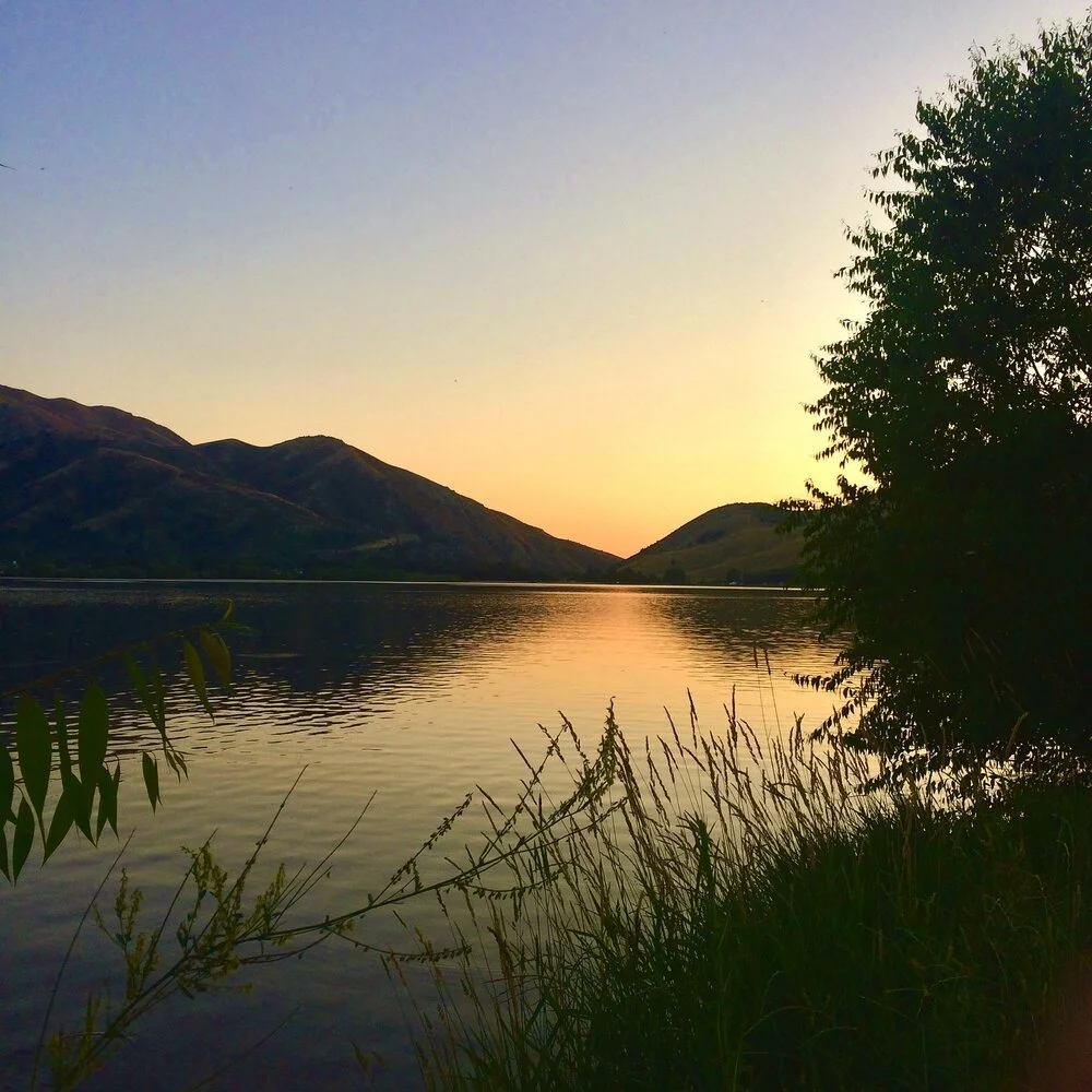 Sunset over a lake with mountainous landscape and silhouetted trees and grasses along the shoreline.