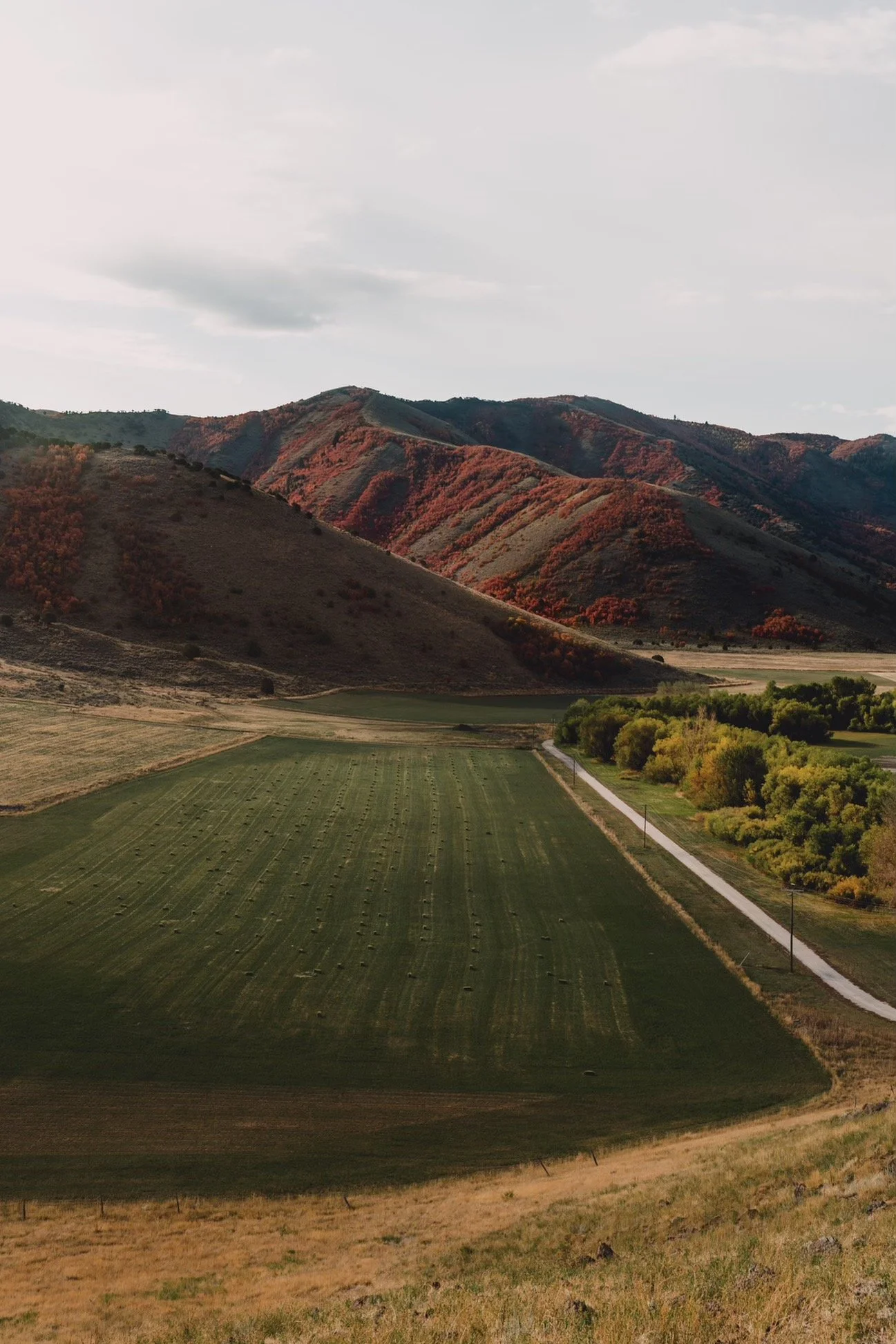 Scenic landscape with green fields, rolling hills, and a narrow road. Hills are covered in autumn-colored foliage under a partly cloudy sky.