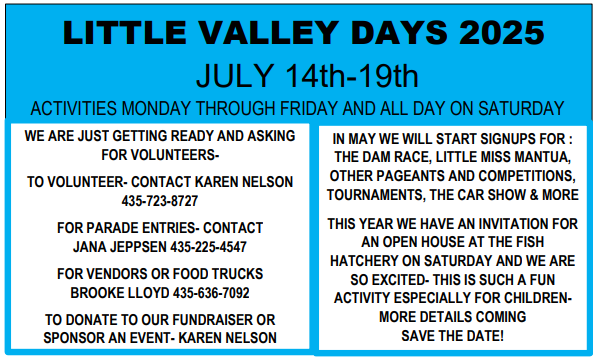 Little Valley Days