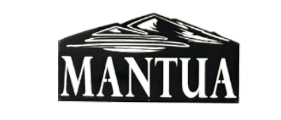 Mantua Town Council Meeting