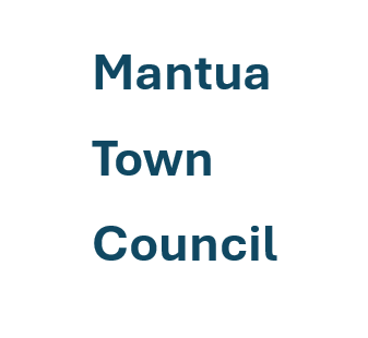 Town Council