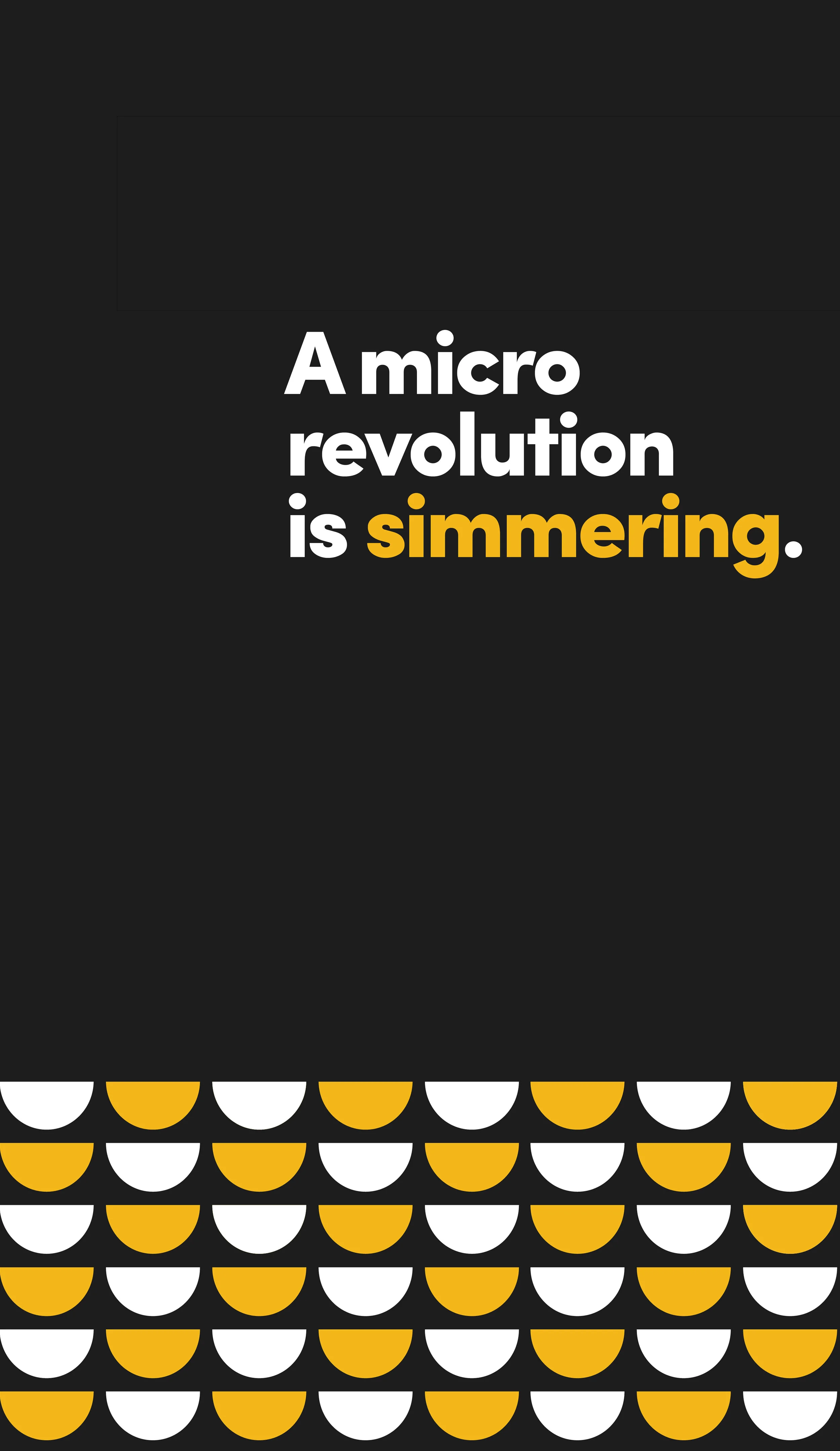 micro revolution.jpg