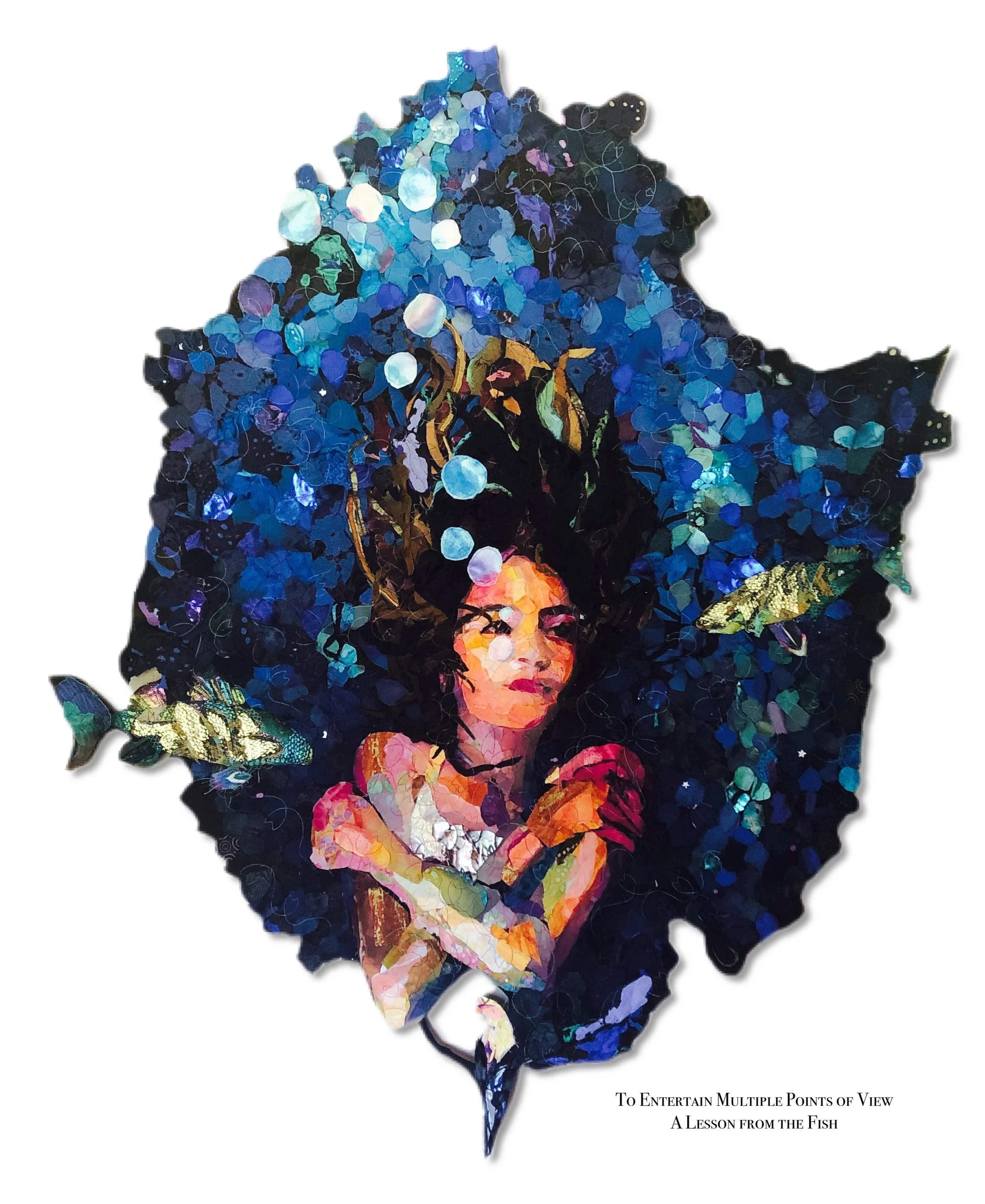 To Entertain Multiple Points of View: A Lesson from the Fish w:title.jpeg