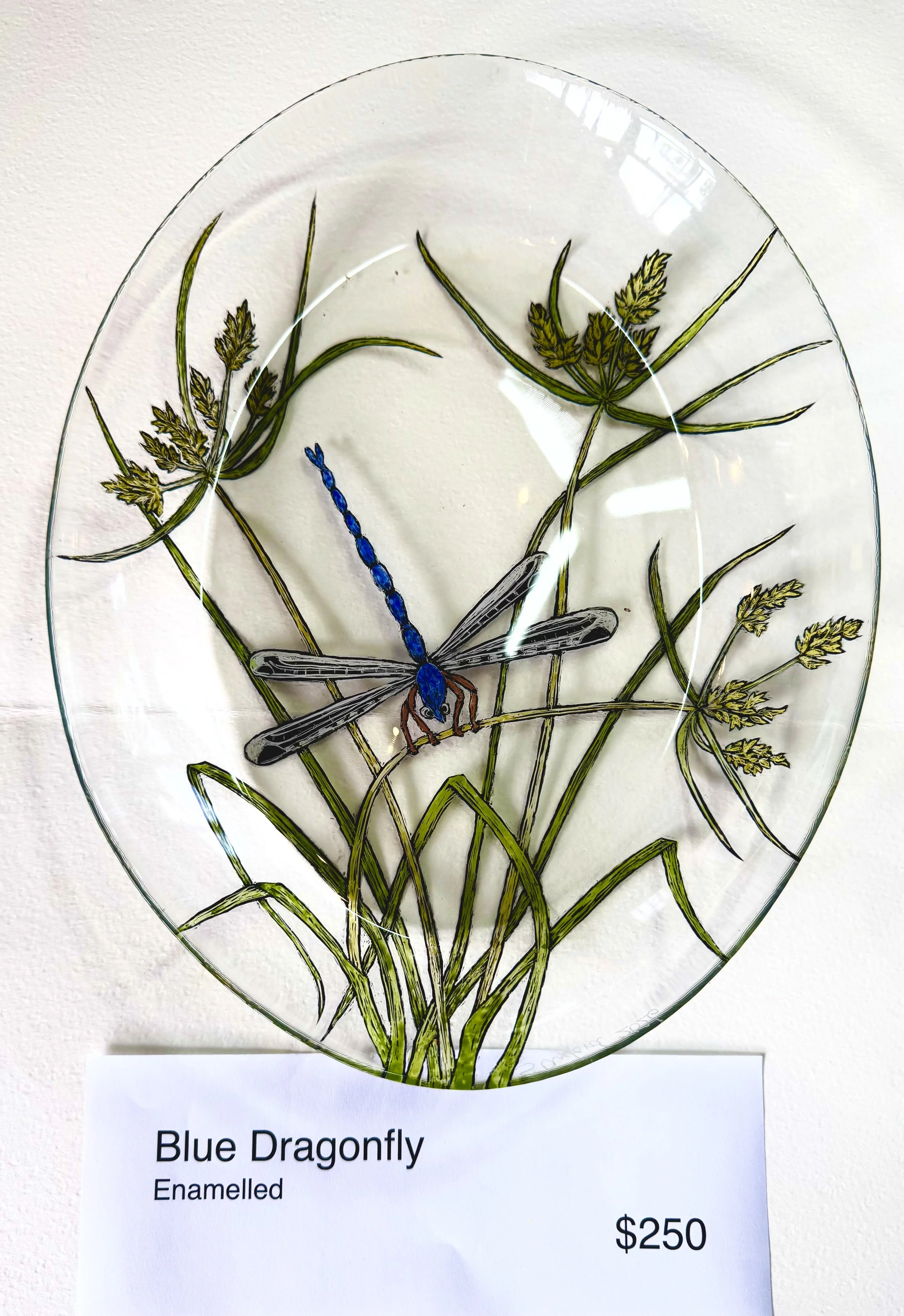 Blue Dragonfly