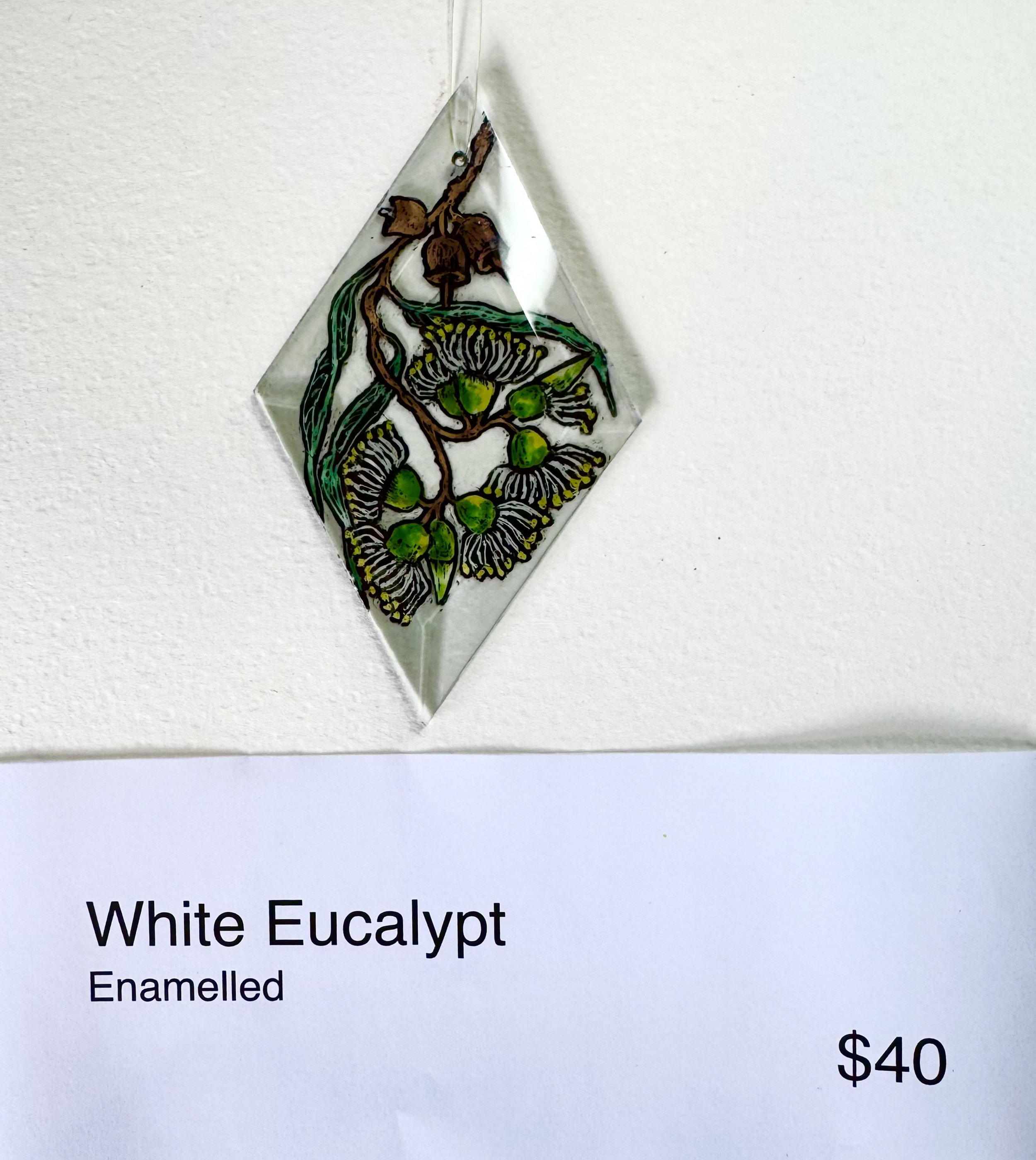 White eucalypt