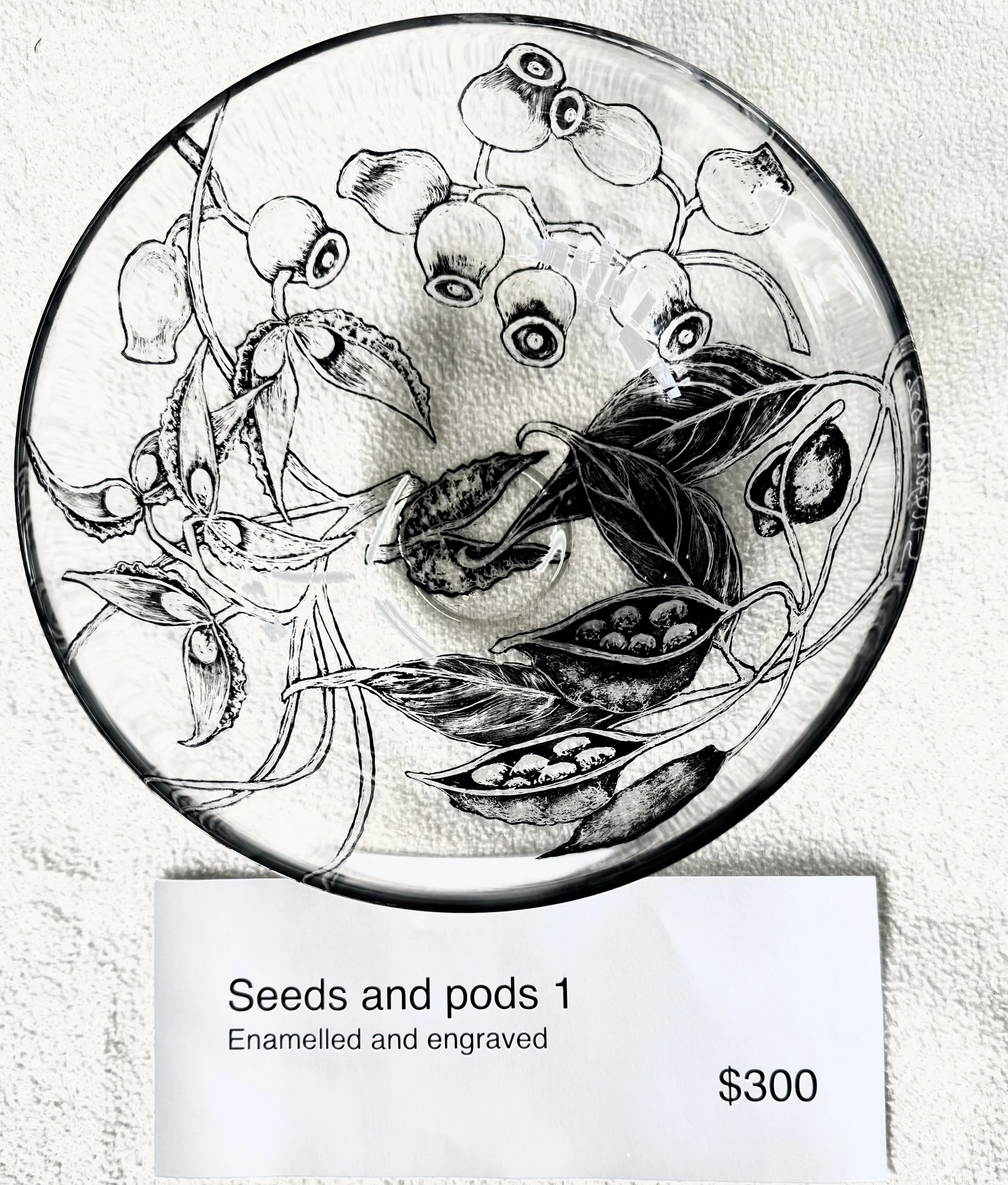 Seeds and pods 1