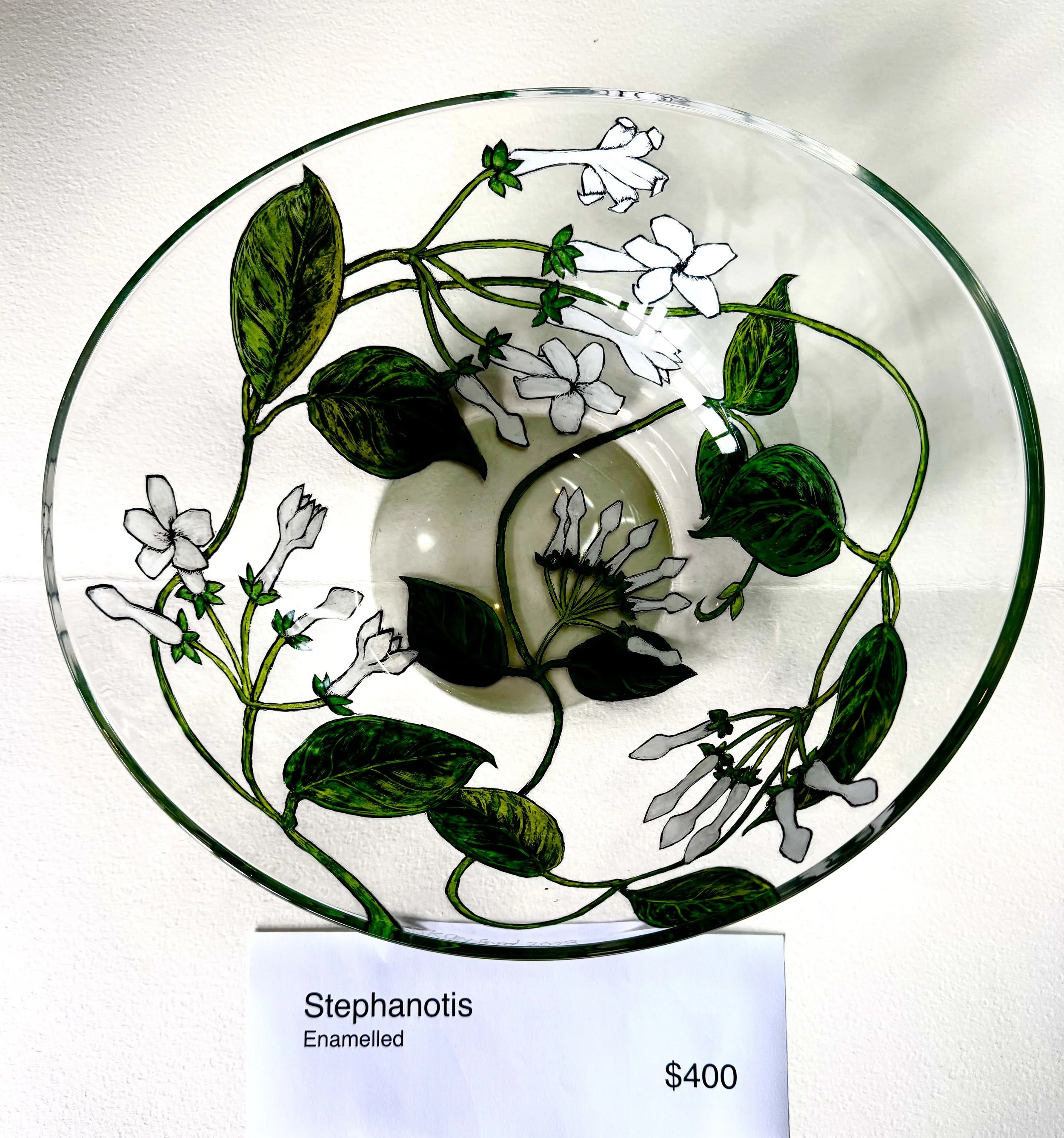 Stephanotis