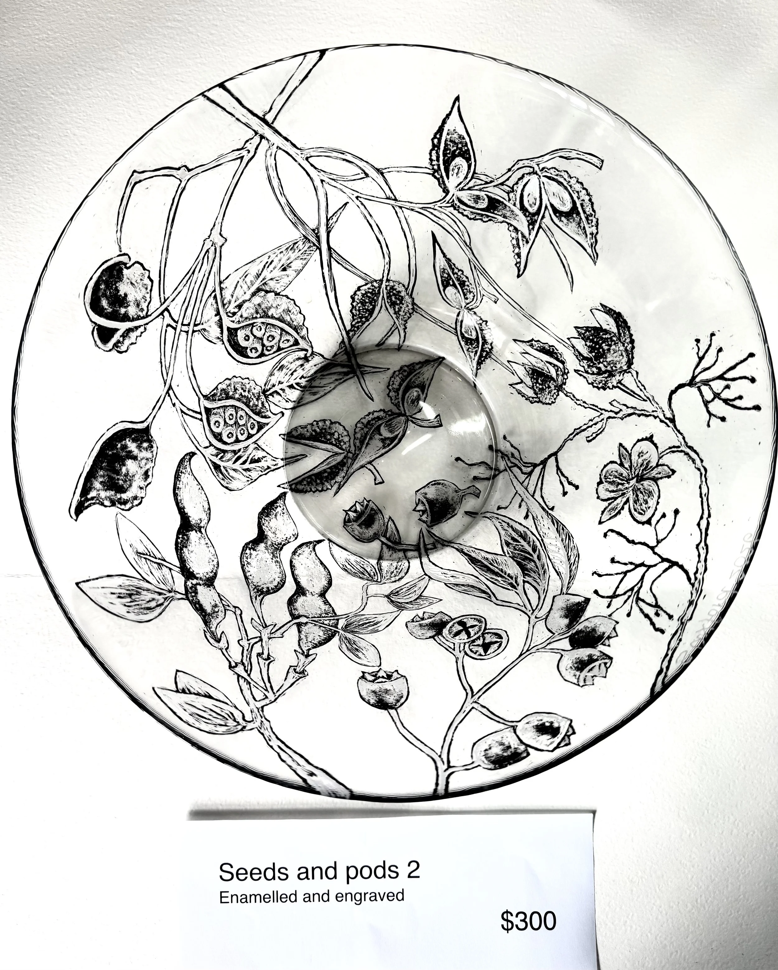Seeds and pods 2