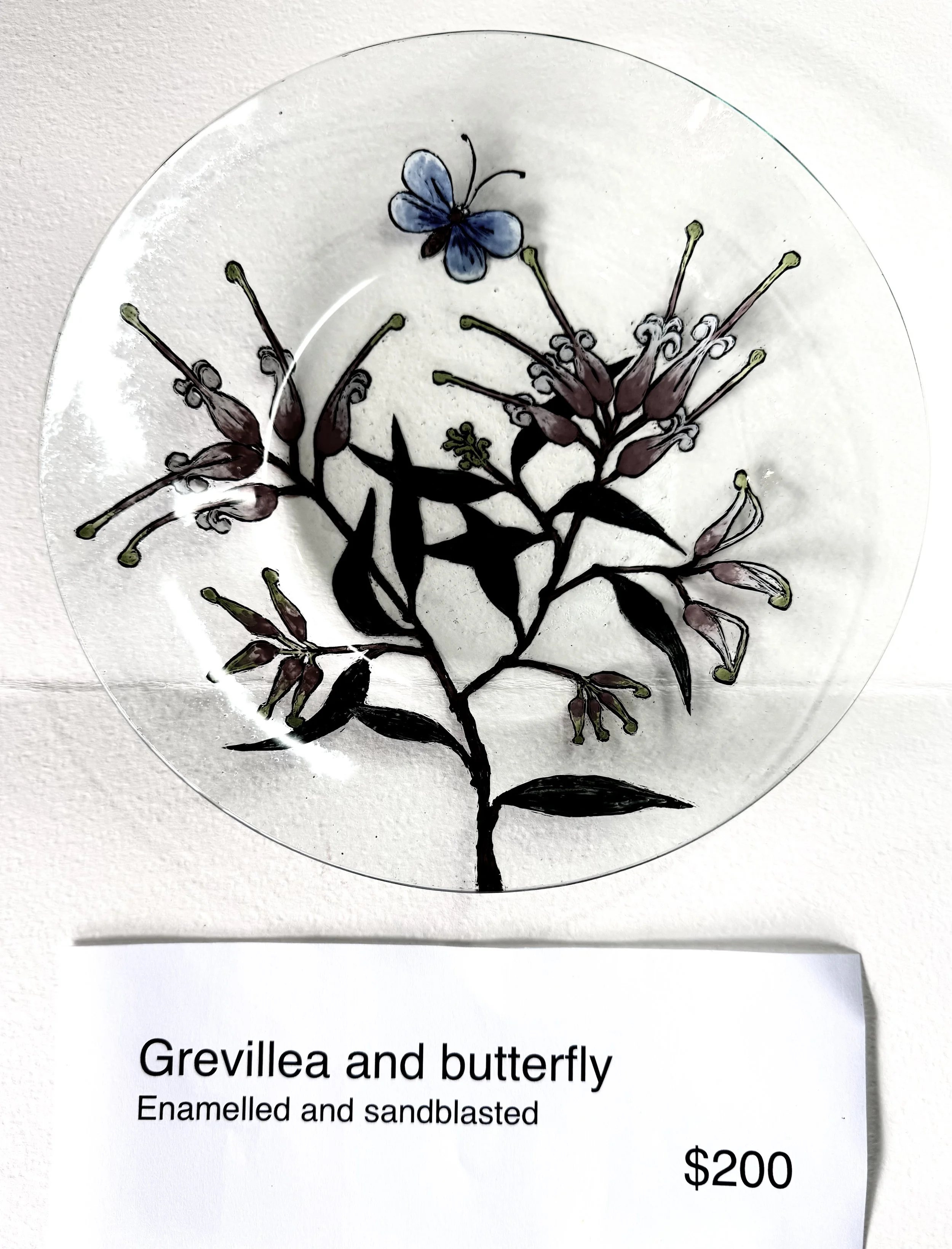 Grevillea and butterfly
