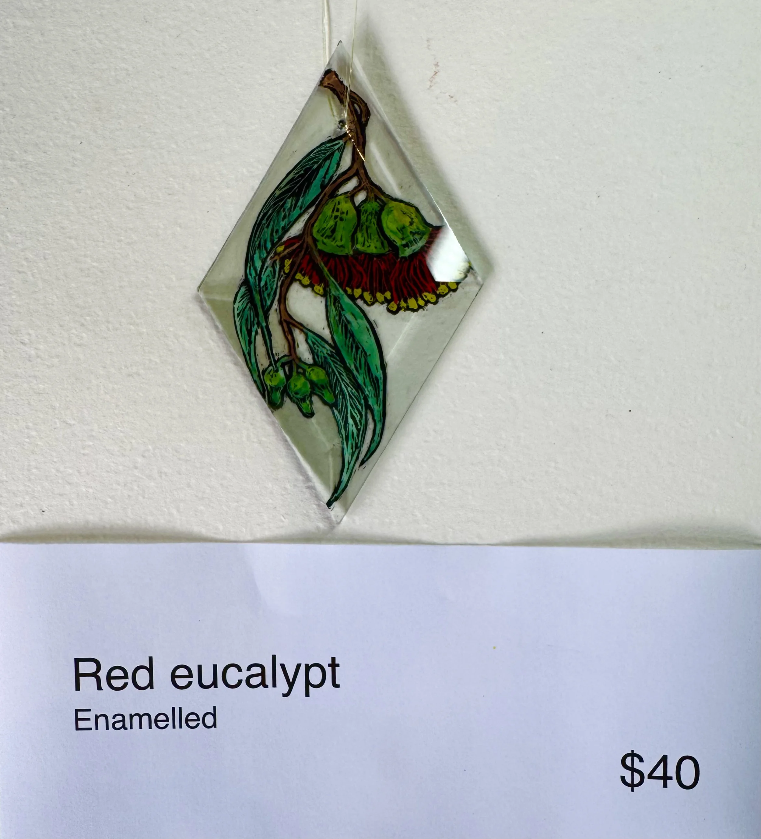 Red eucalypt