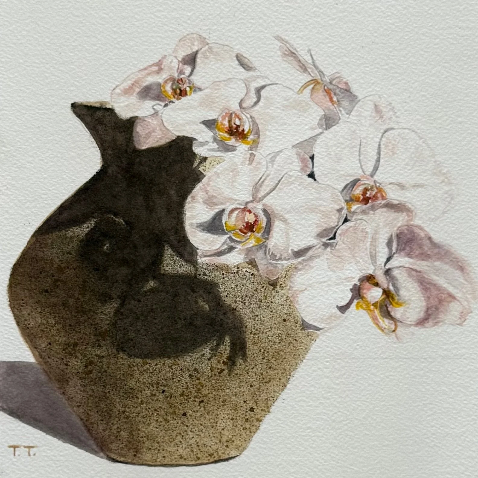 Orchids and Clay