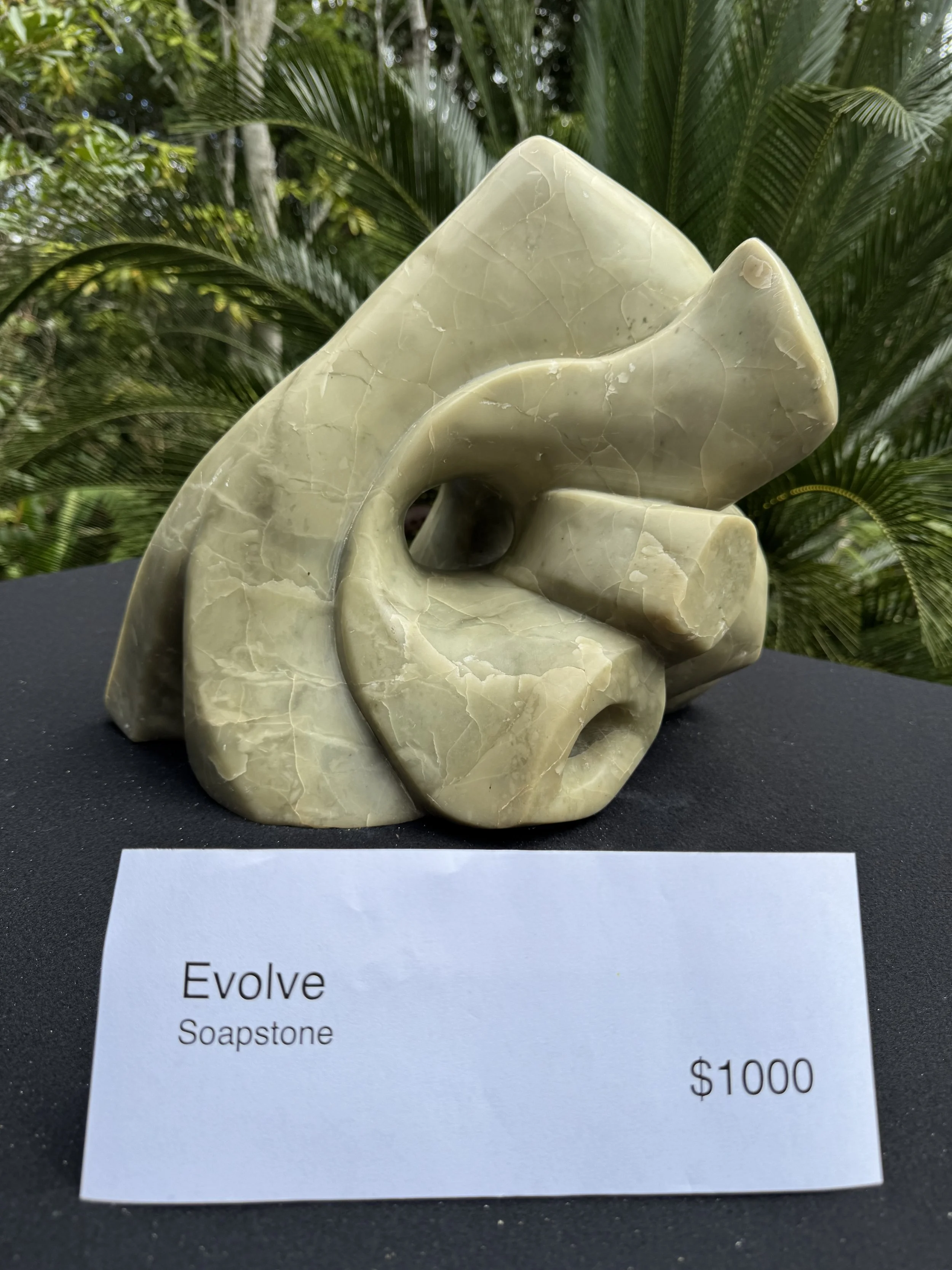 Evolve