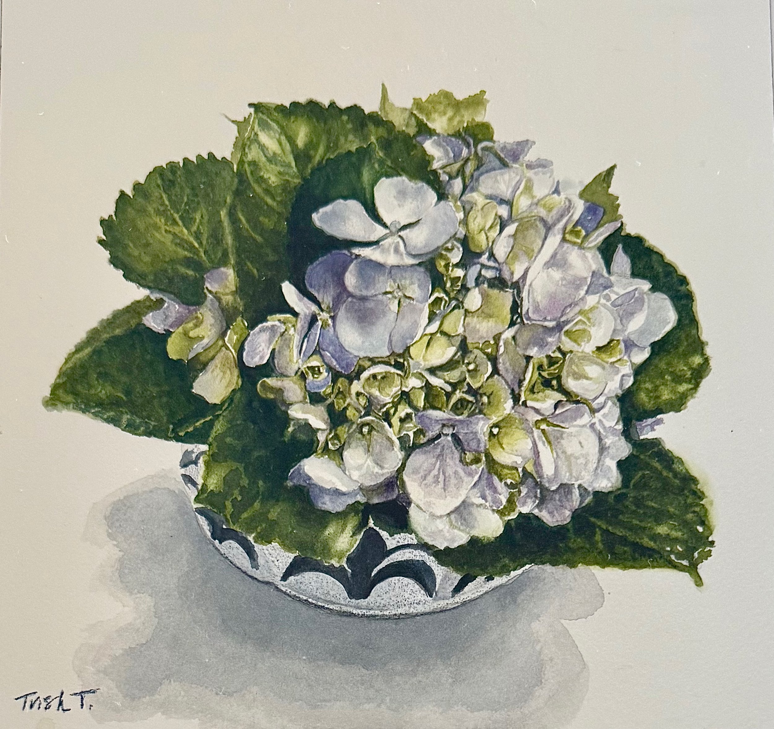 Sunday flowers