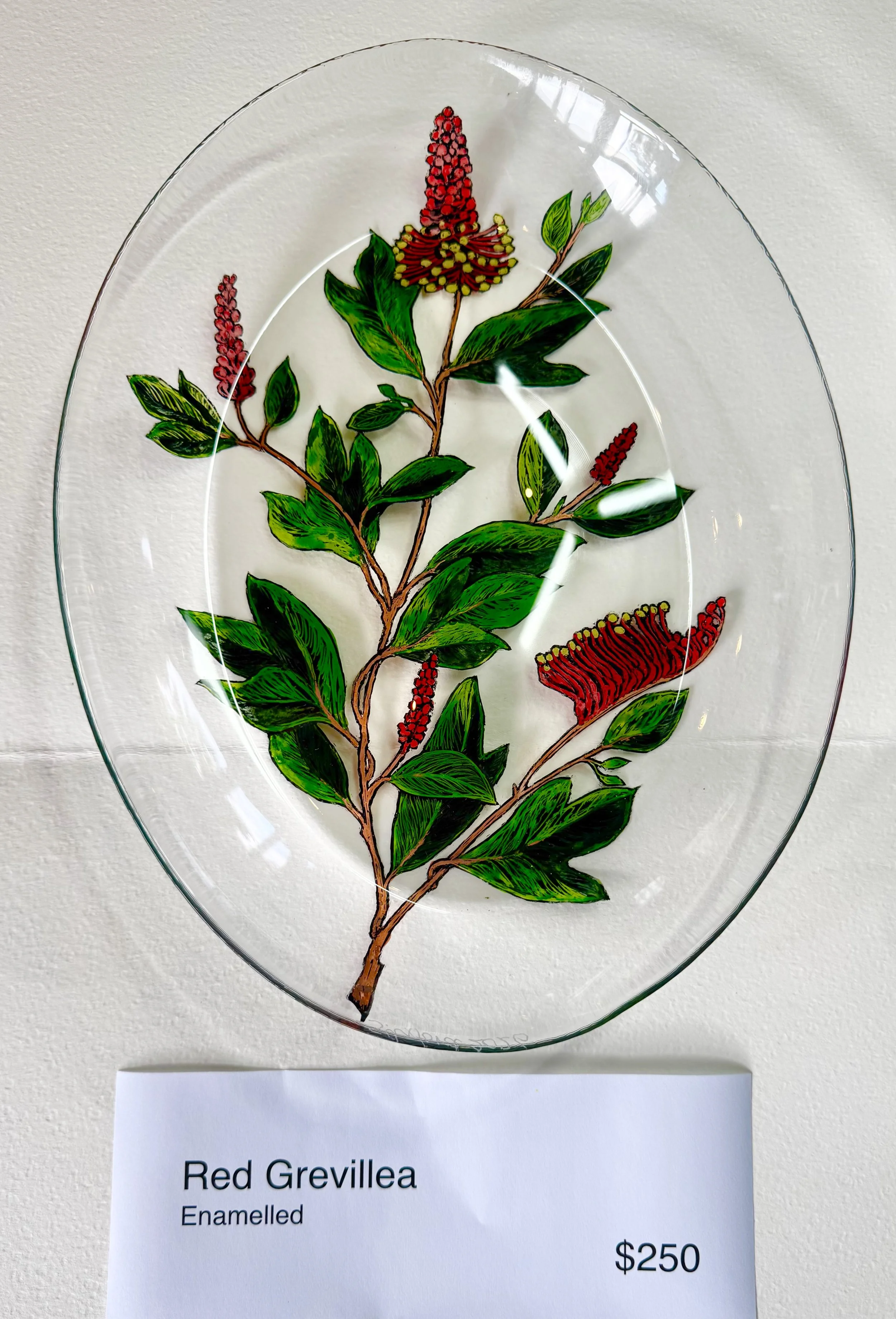 Red Grevillea