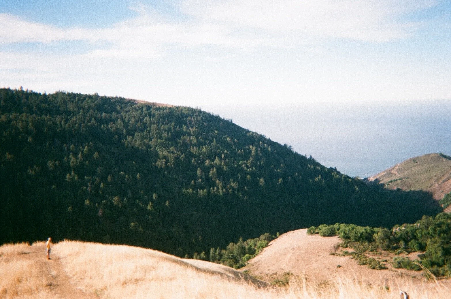 Big Sur, California 2018