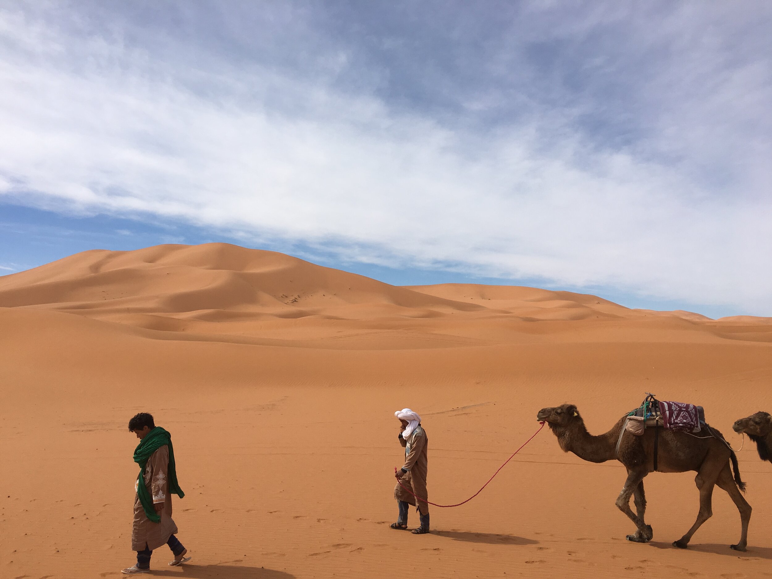 Moroccan Sahara 2018