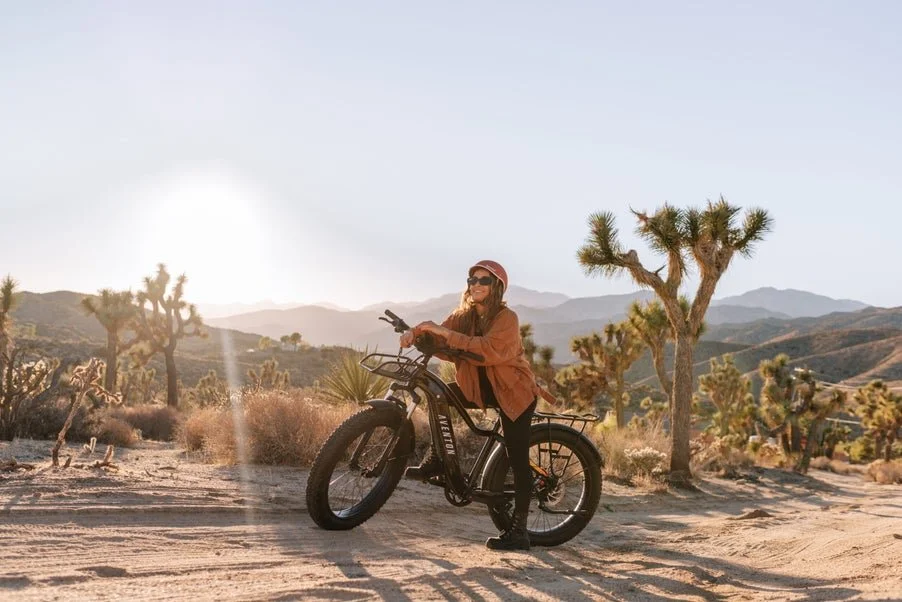 First Look: Aventure Step-Through Ebike