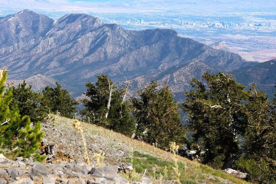 Spring Mountains National Recreation Area