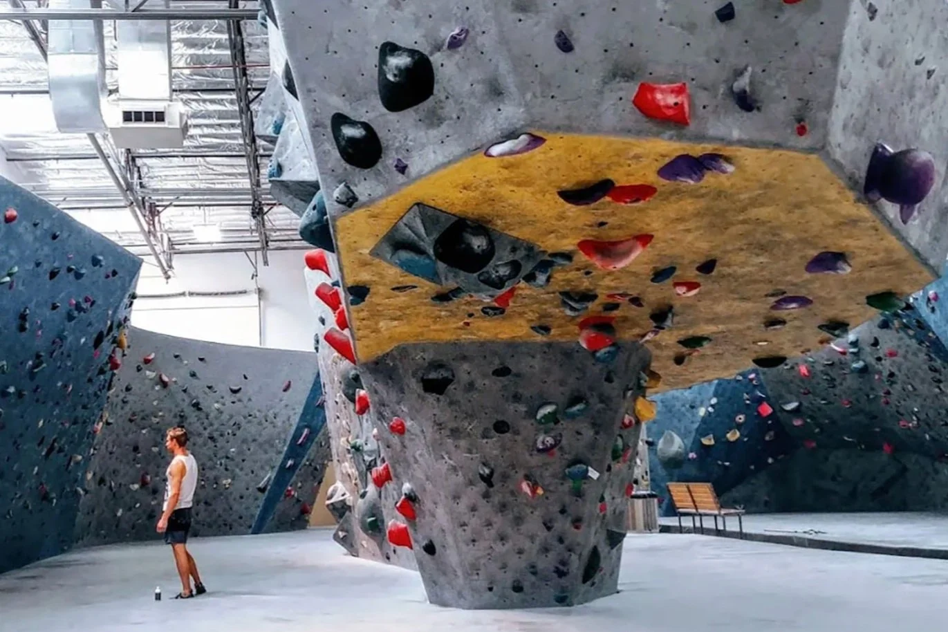 The 3 Best Climbing Gyms in Las Vegas
