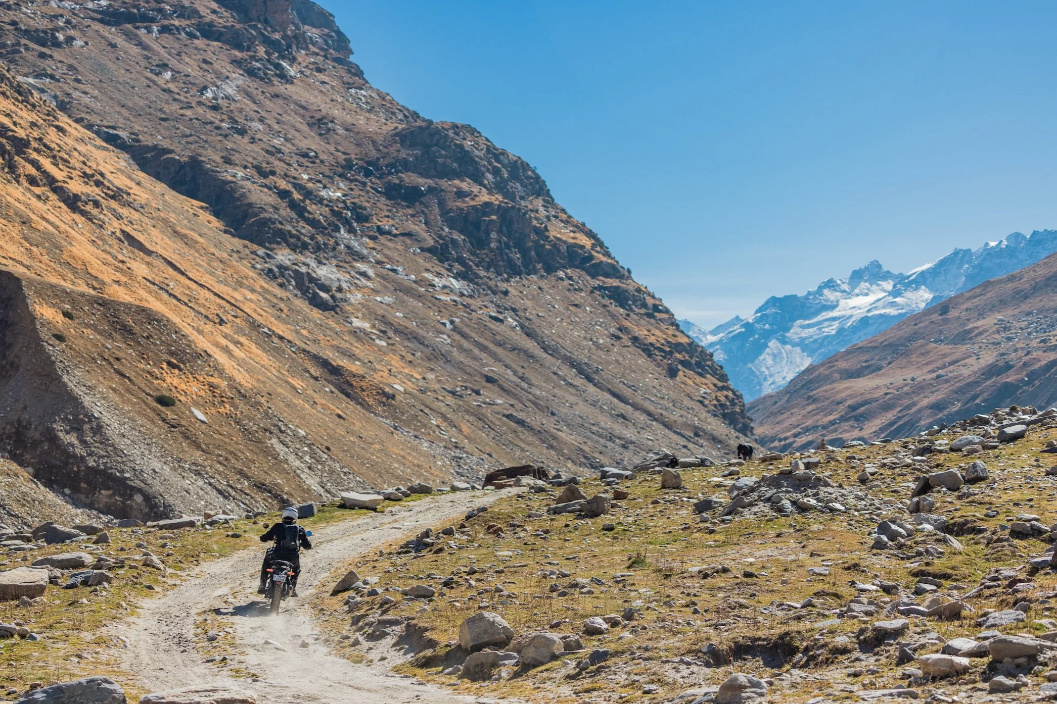 I Thought Motorcycles Didn't Belong in the Wilderness. I Was Wrong