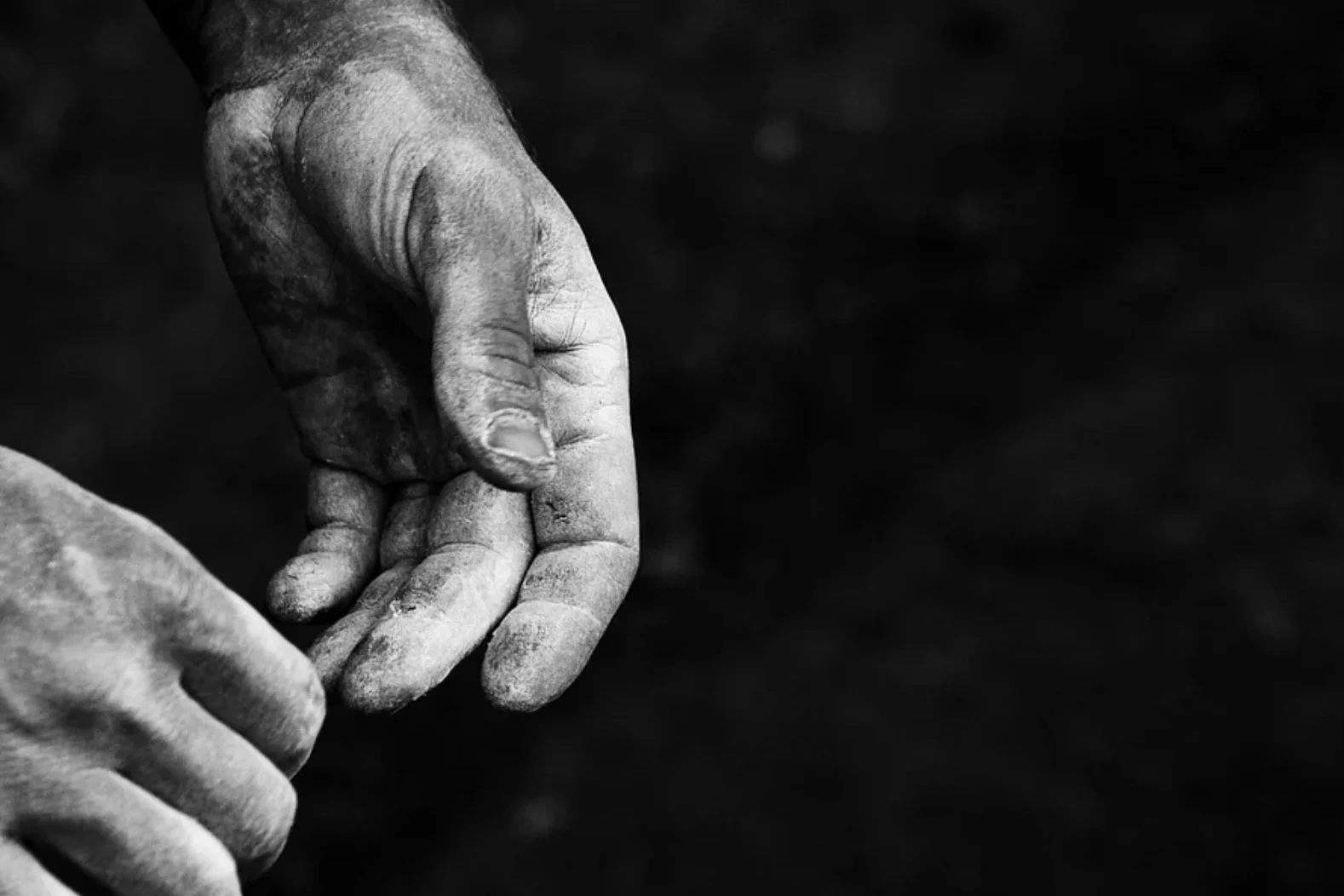 7 Balms, Salves, and Tools for Climbing Skin Care