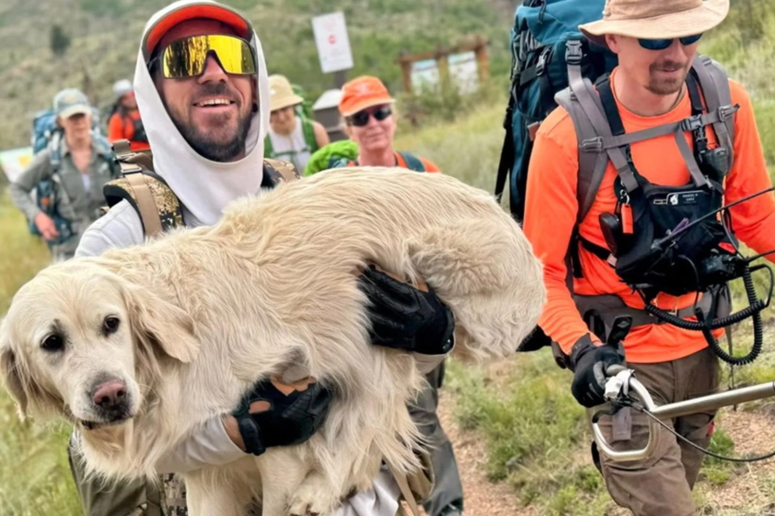 After a Series of Backcountry Dog Rescues, Colorado SAR Teams Alert Hikers