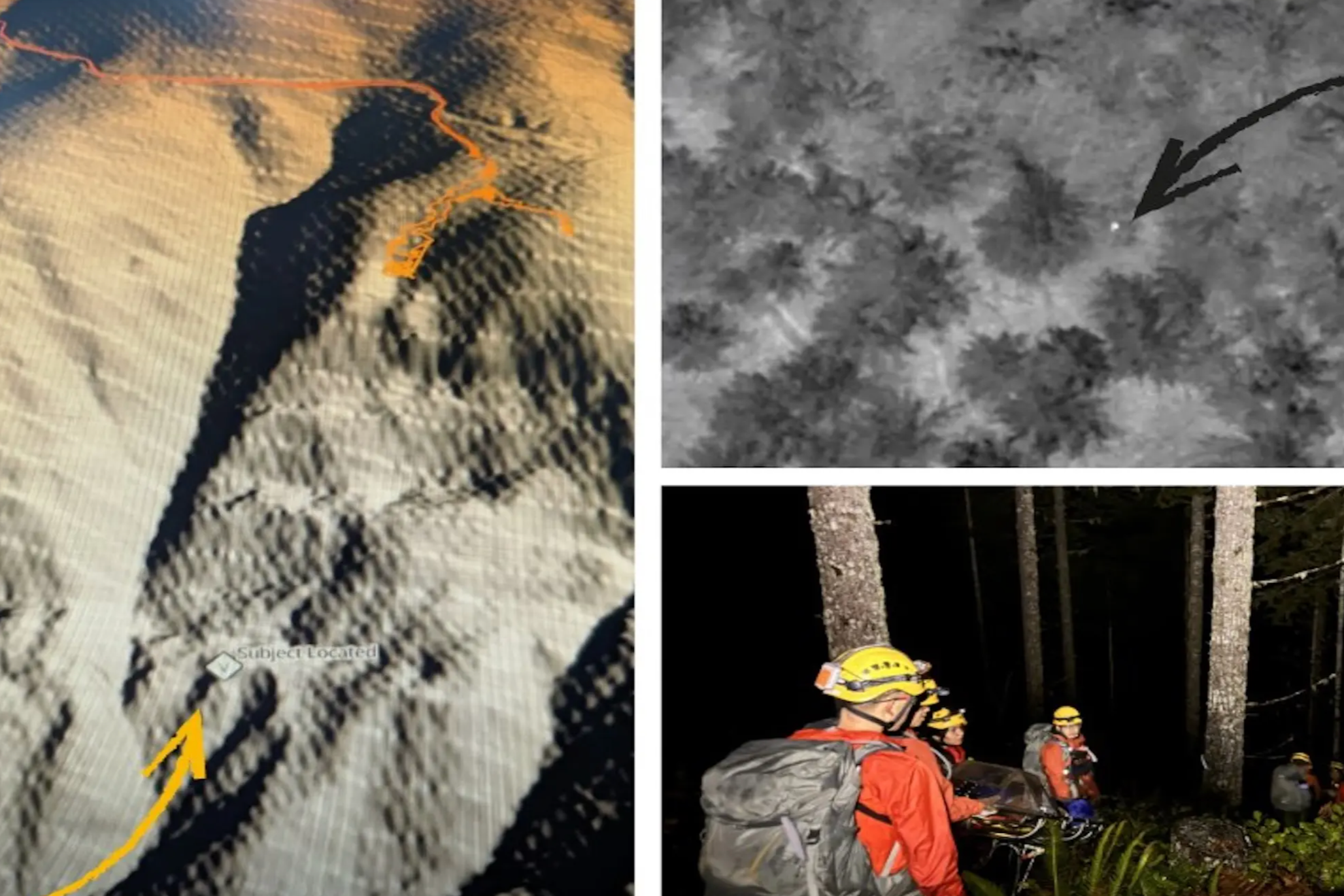 A Mushroom Hunt Became a Survival Test for a 72-Year-Old Woman in Oregon's Wilderness