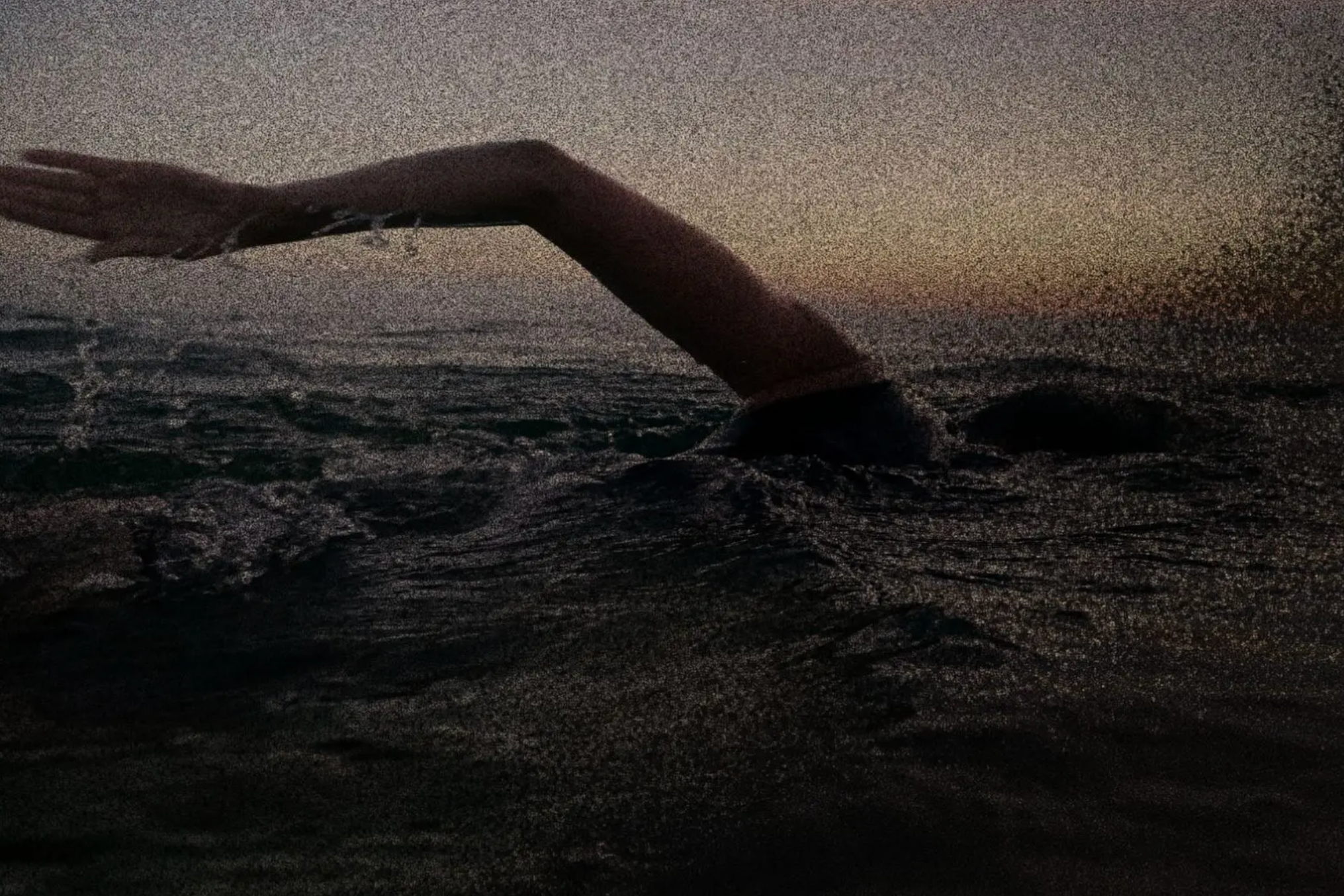 Erica Fox Spent Decades Swimming off the California Coast. Authorities Believe A Shark Killed Her.