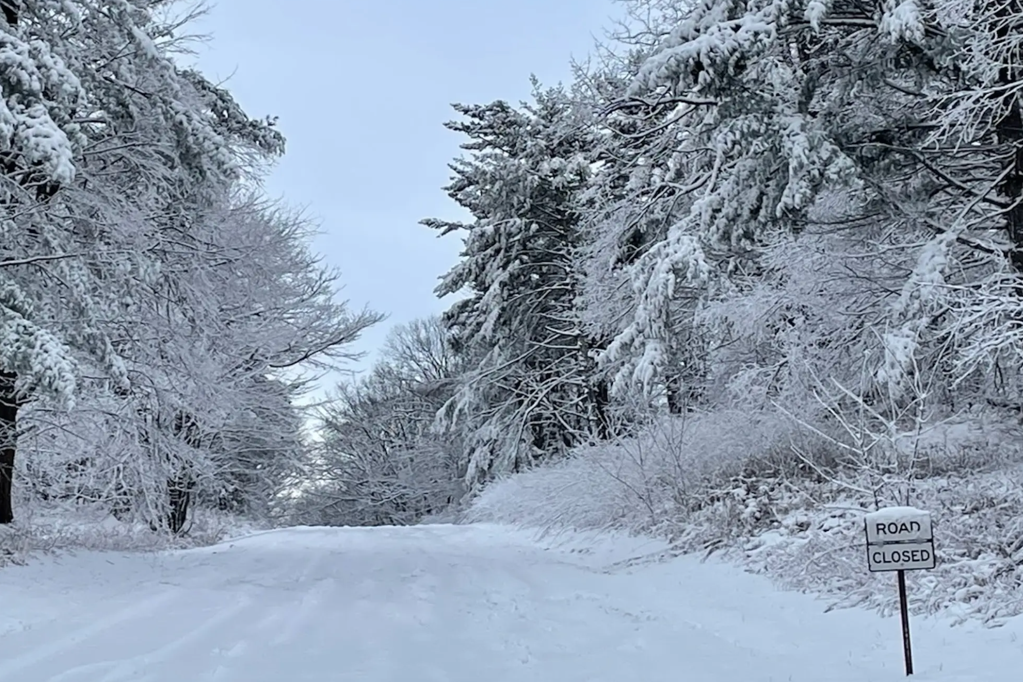 Dozens of National Park Sites Closed After Winter Storm Strikes