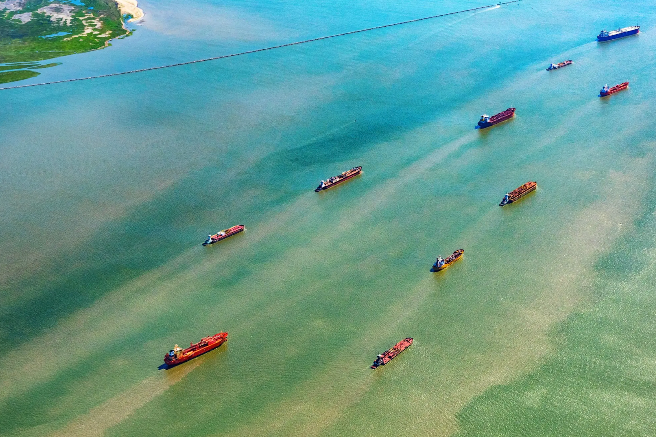 A Secretive Government Group Known as the ‘God Squad’ Just Bypassed the Endangered Species Act