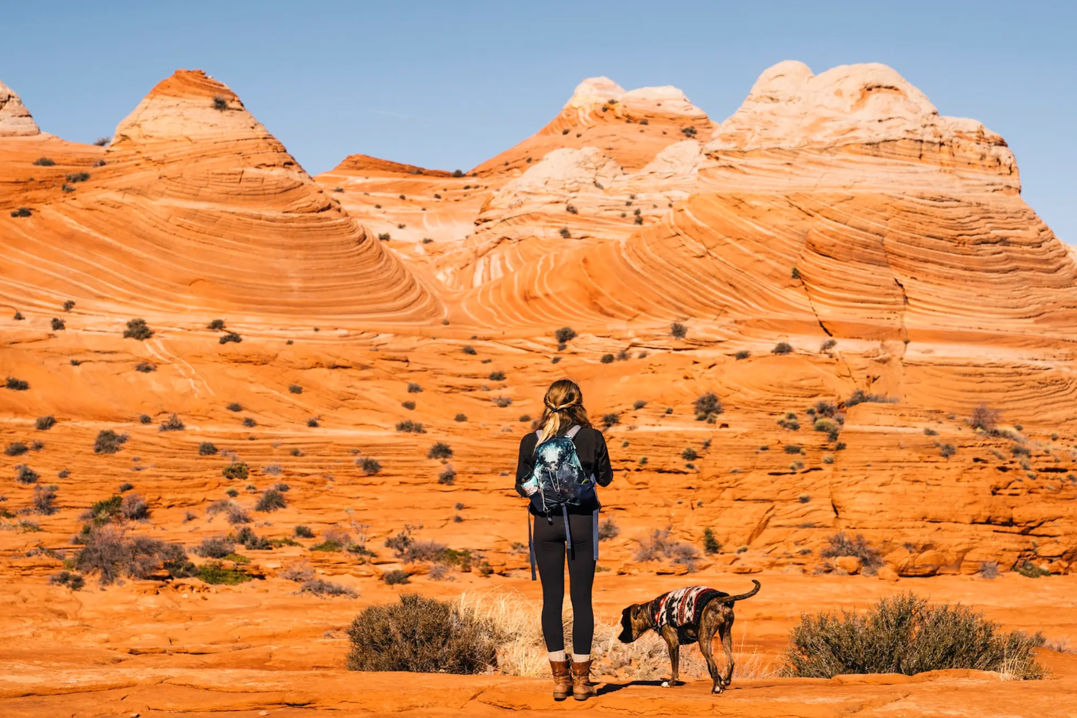 How Did Your Lawmakers Vote on Public Lands? This New Map Tracks Every Member of Congress.
