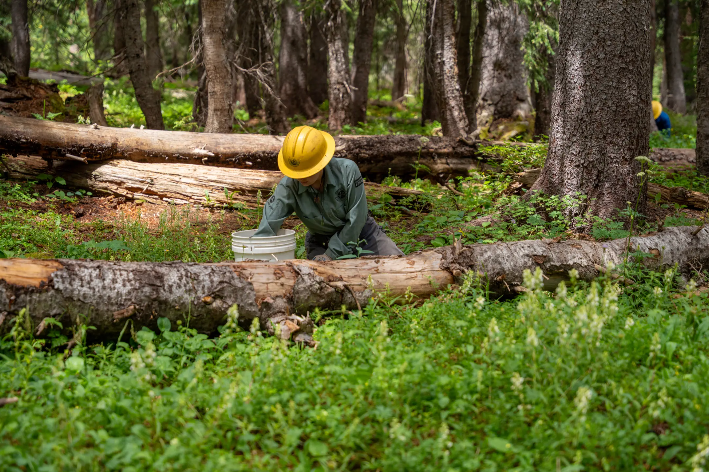 Colorado Crews Are Cleaning Up an “Abundance of Human Shit” at One of the State’s Most Popular Trails